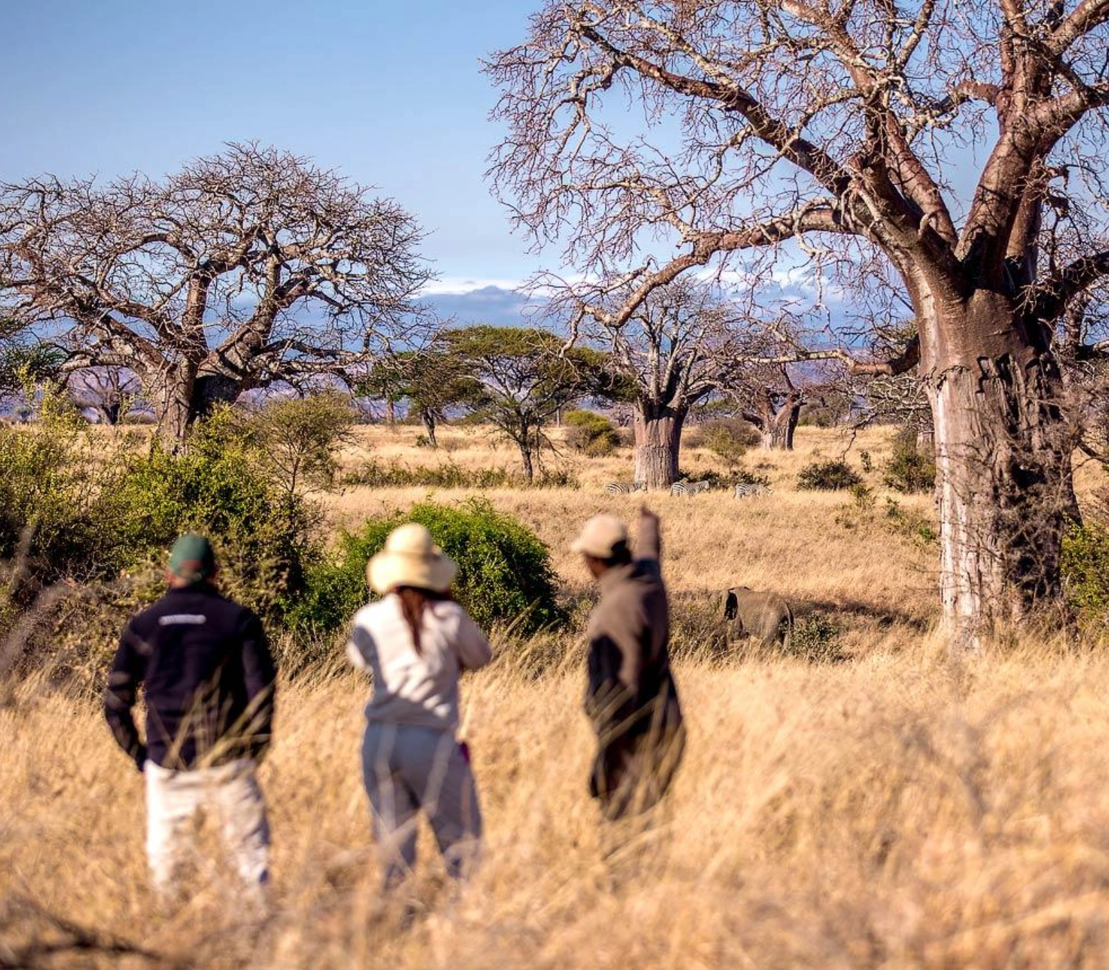 6 Days Tanzania Walking Safari Attractions