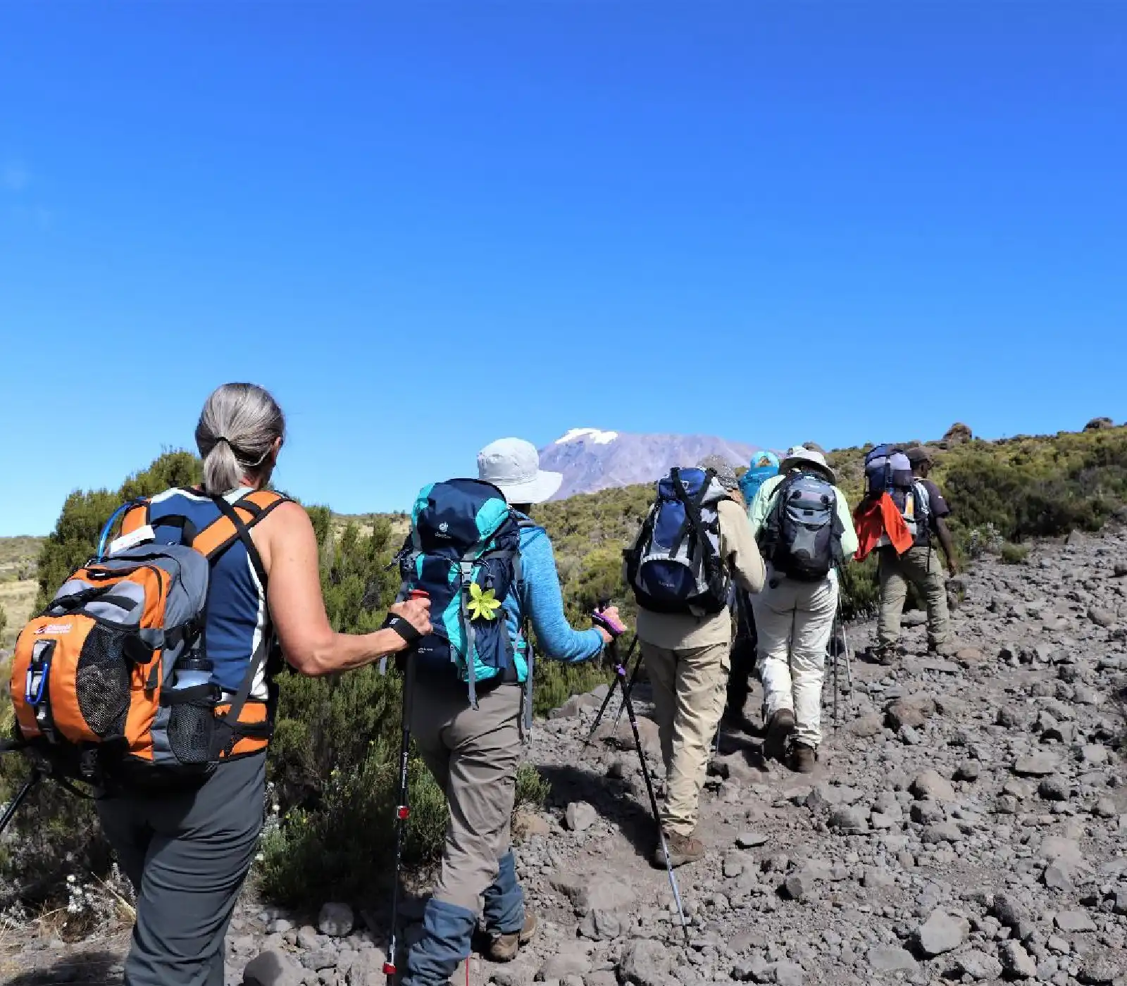 6 Days Umbwe Route  Attractions