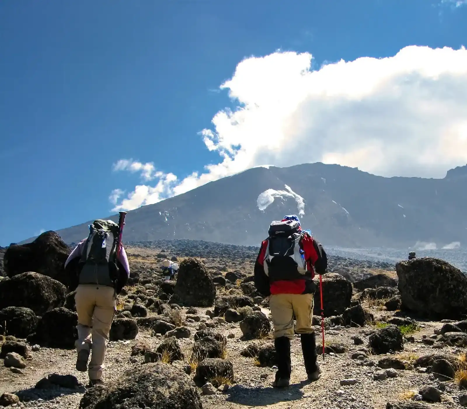 6 Days Umbwe Route  Attractions