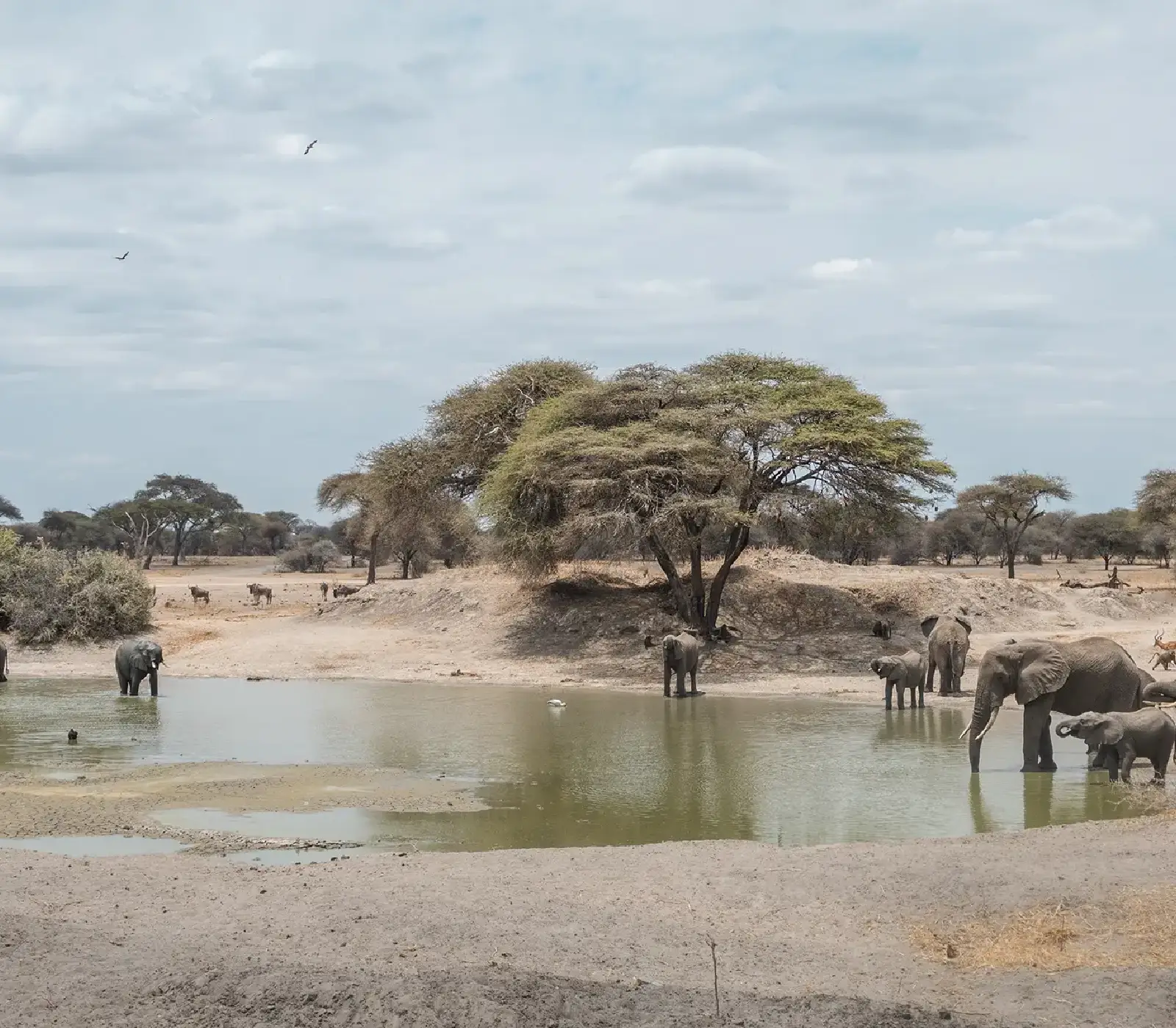 7 Day Kenya & Tanzania Safari  Attractions