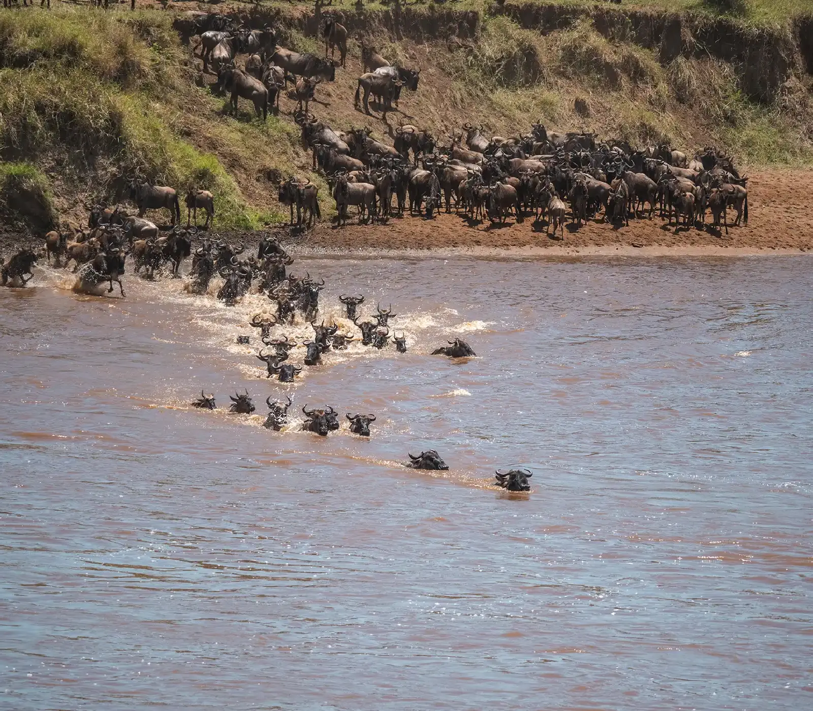 7 Day Kenya & Tanzania Safari  Attractions