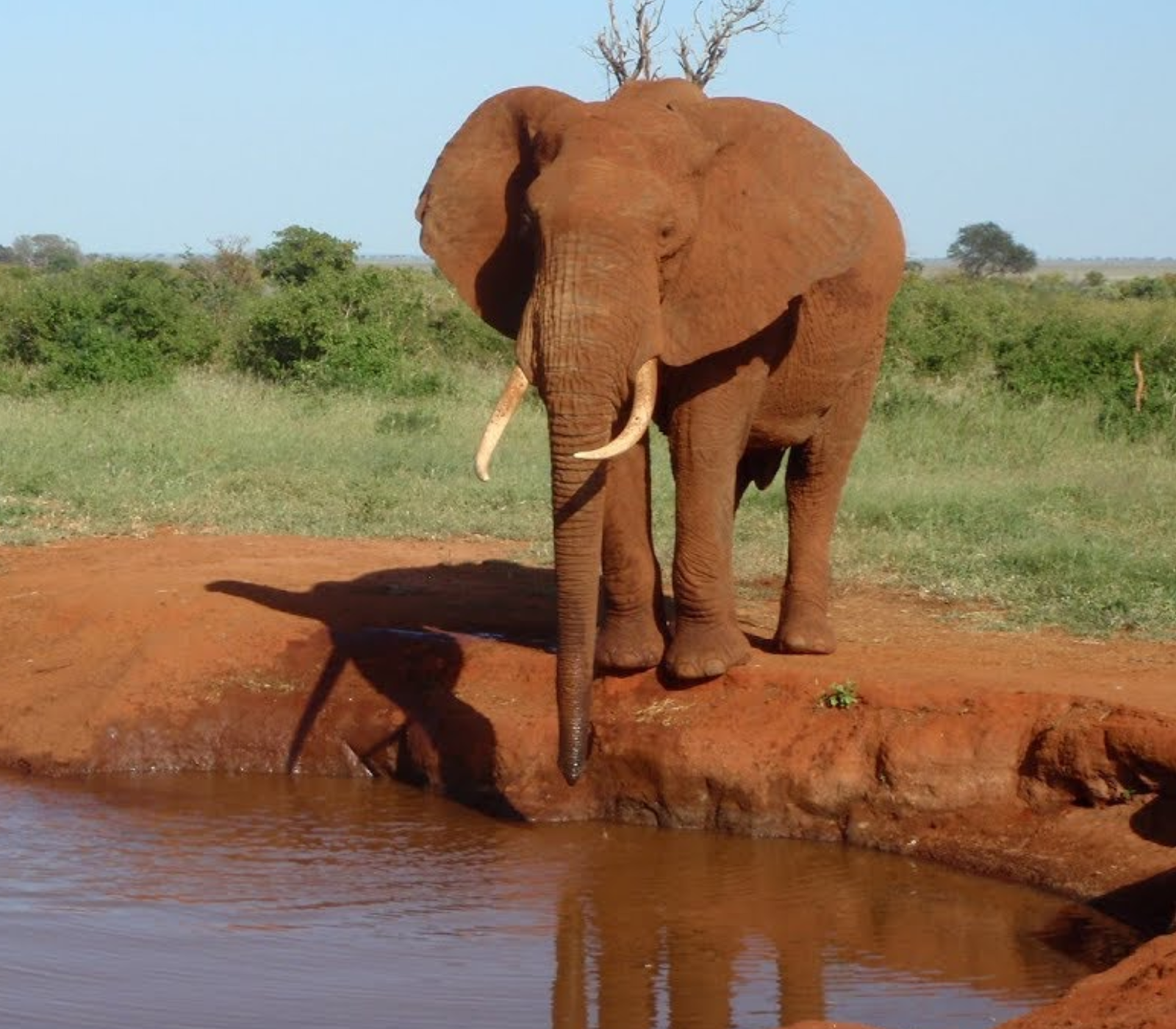 7 Days, 5 Best National Parks & Beach To Beach Safari  Attractions