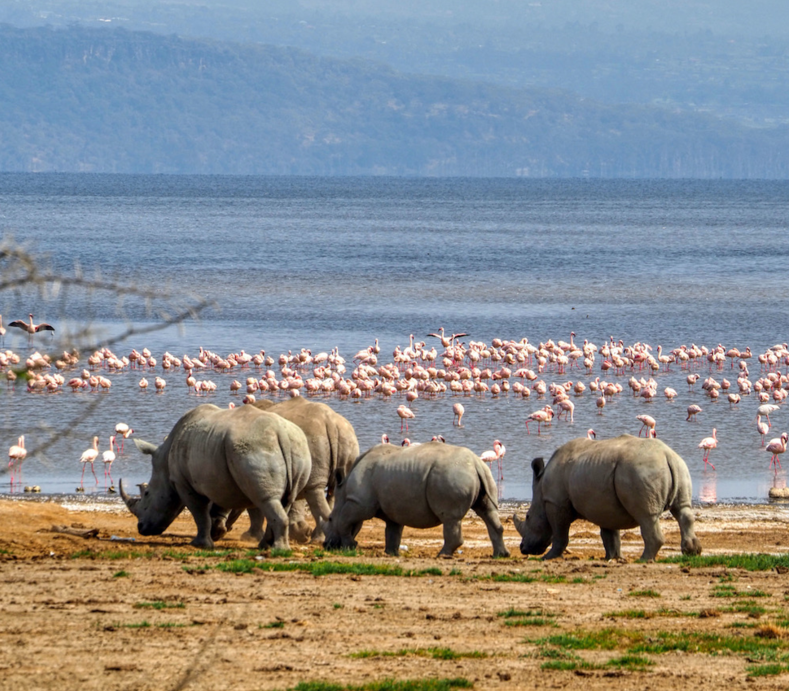 7 Days, 5 Best National Parks & Beach To Beach Safari  Attractions