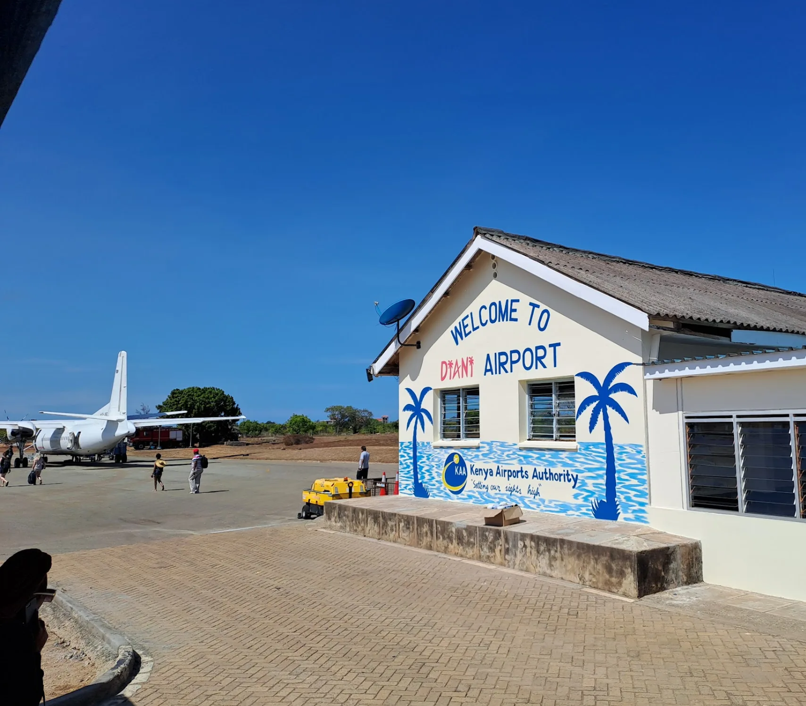 7 Days, 6 National Parks – Fly/Drive Safari From Diani Beach  wildlife Attractions