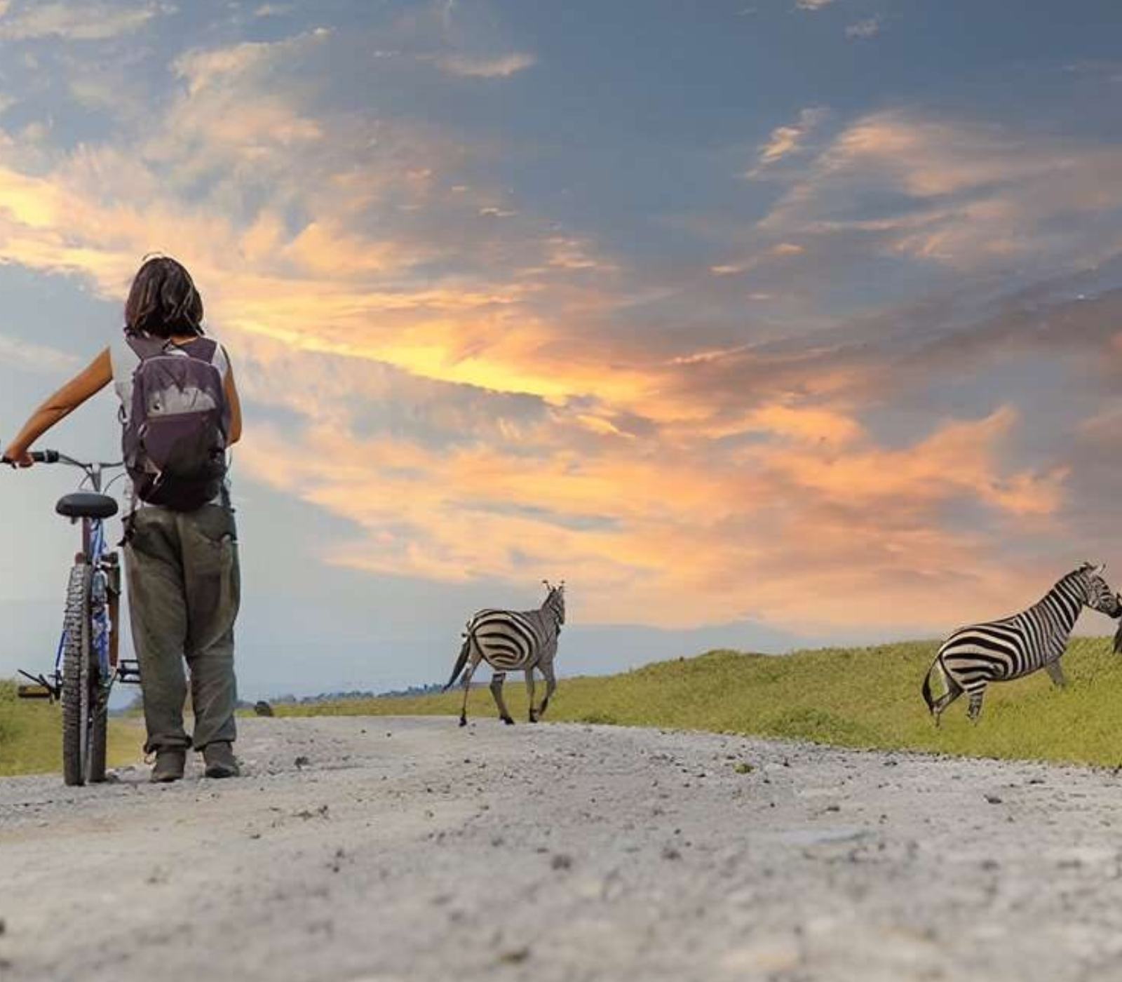 7 Days, 6 National Parks – Fly/Drive Safari From Diani Beach  wildlife Attractions