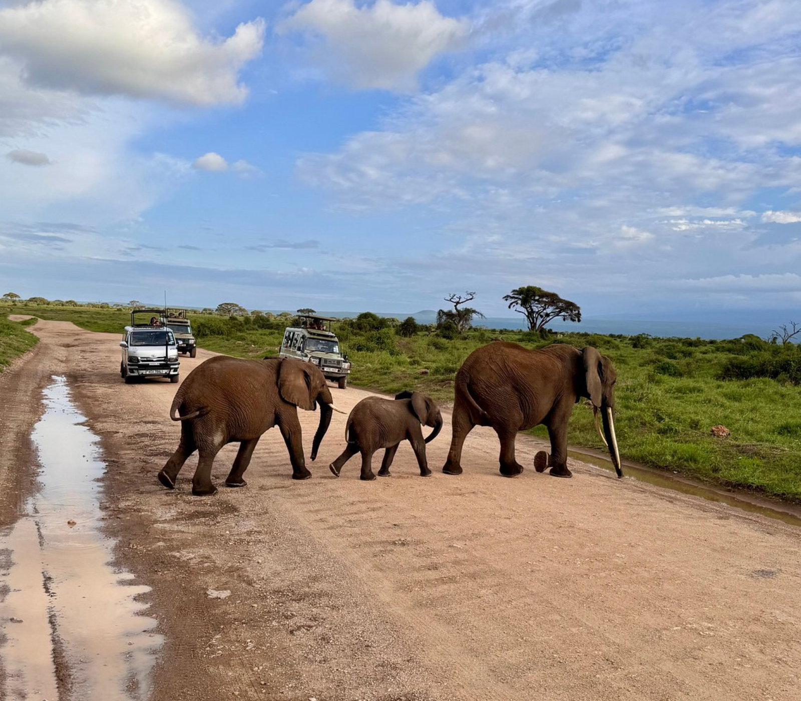 7 Days, 6 National Parks – Fly/Drive Safari From Diani Beach  Attractions