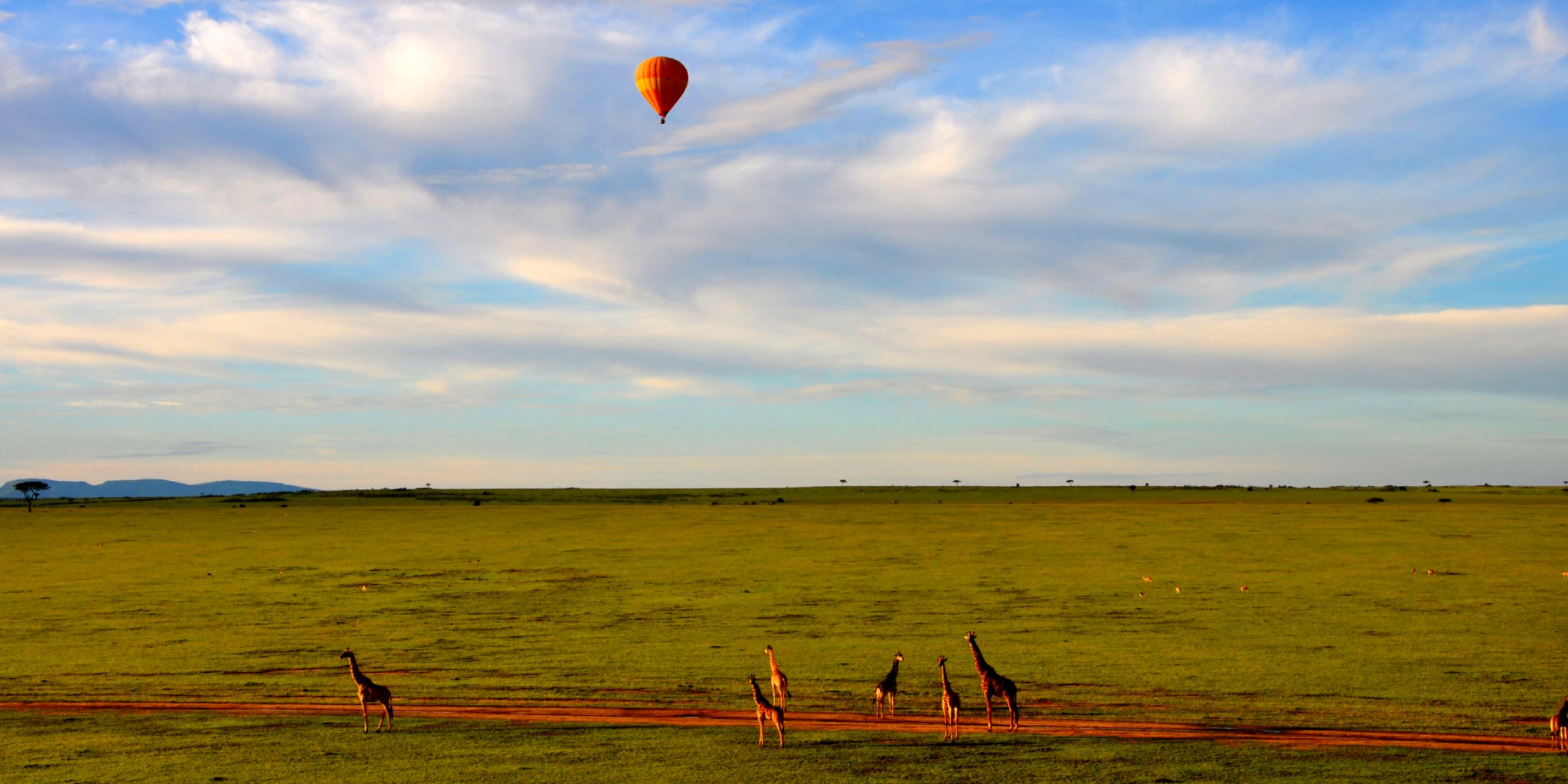 7 Days, 6 National Parks – Fly/Drive Safari From Diani Beach 