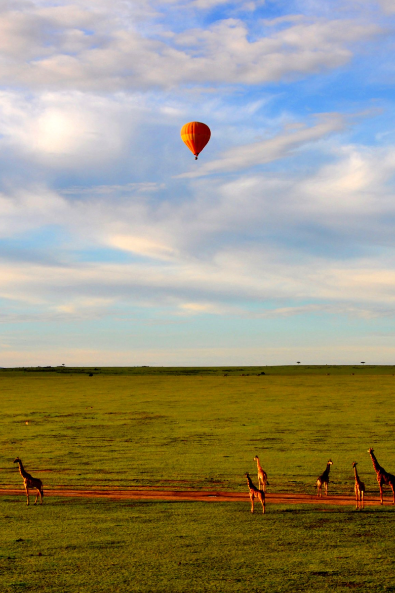 7 Days, 6 National Parks – Fly/Drive Safari From Diani Beach