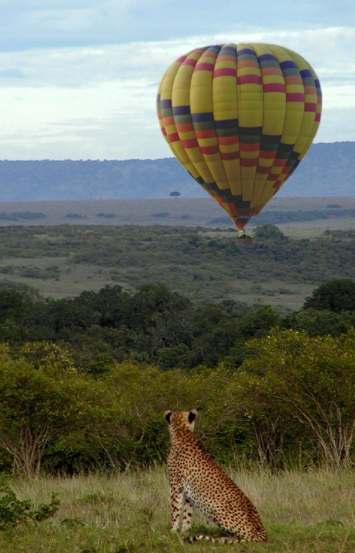7 Days Amboseli wildlife Safari  wildlife