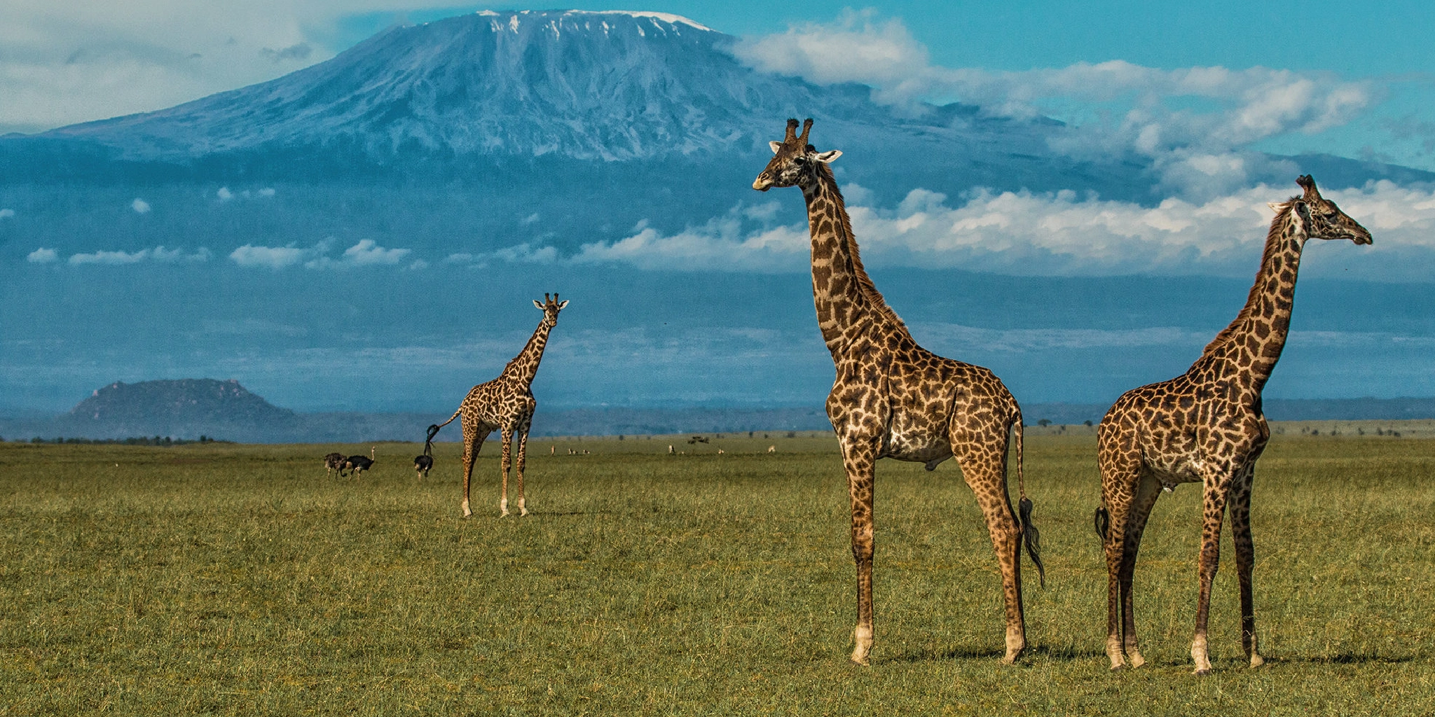 7 Days Amboseli wildlife Safari 