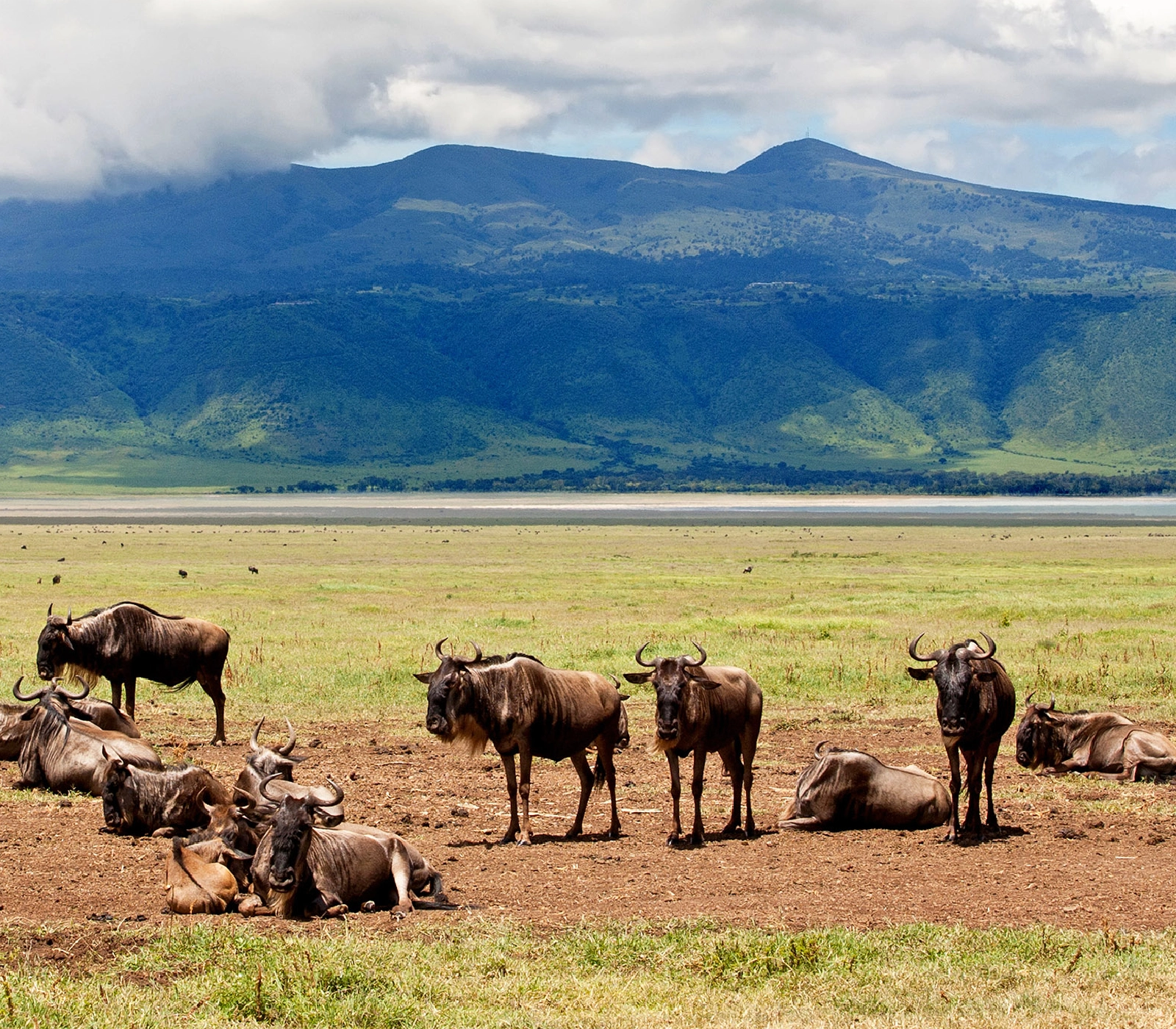 7-Days Kenya & Tanzania Safari: Amboseli To Ngorongoro  Attractions