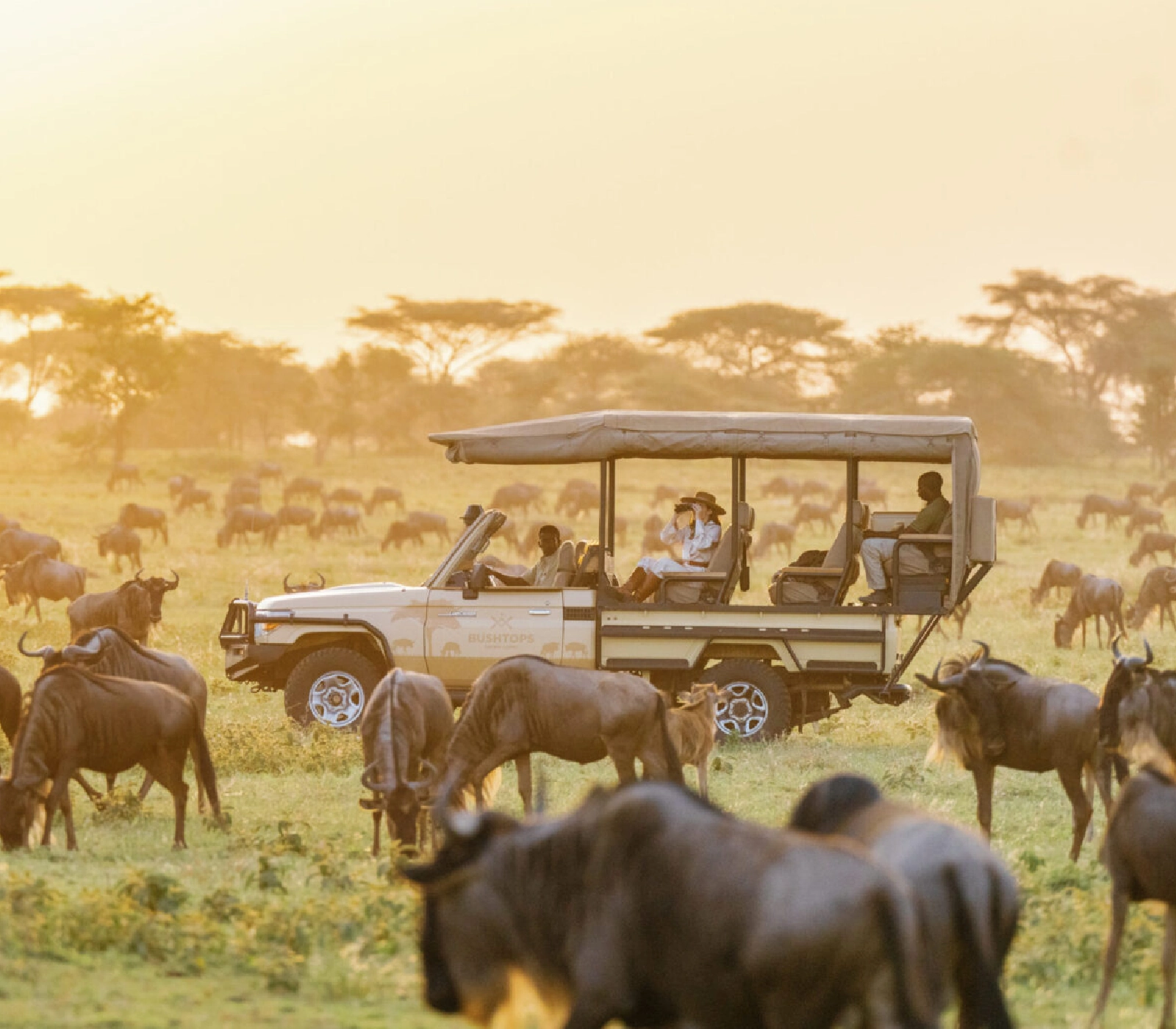 7-Days Kenya Safari: Amboseli, Lake Naivasha, Lake Nakuru & Masai Mara  Attractions