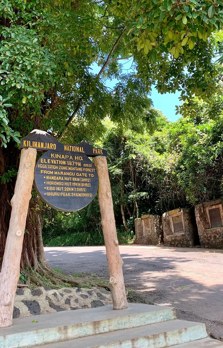 7 Days Marangu Route wildlife