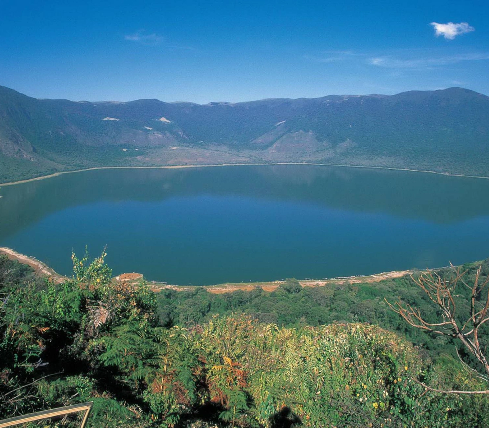 7 Days Northern Tanzania Bird Watching Safari Attractions