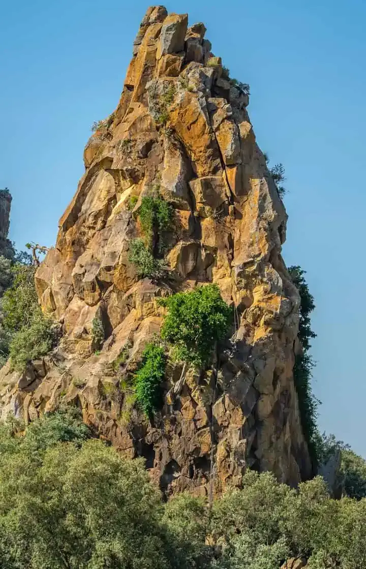 7 Days Safari – Amboseli, Lake Naivasha, Lake Nakuru & Masai Mara  wildlife