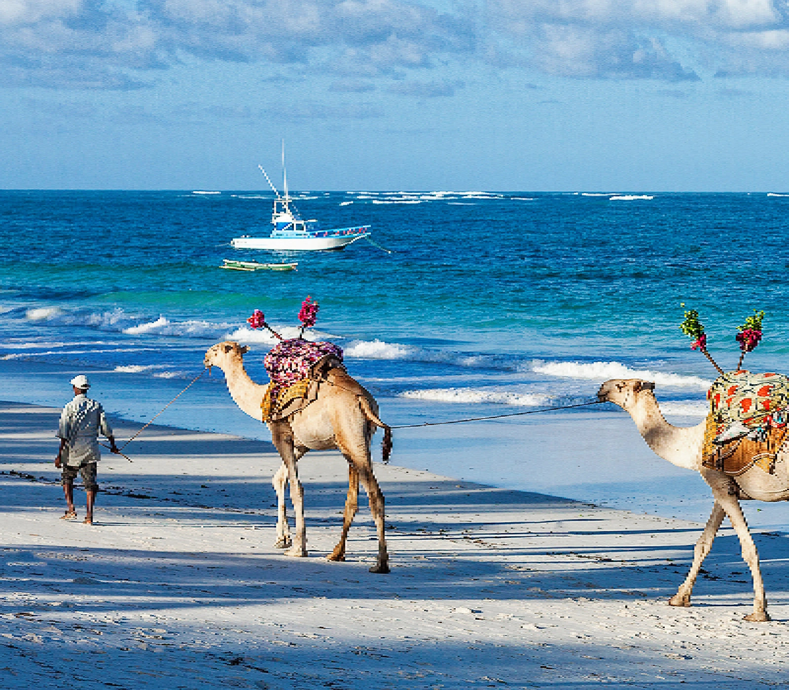 7-Days Safari: Masai Mara, Lake Nakuru, Lake Naivasha, Amboseli To Coast  wildlife Attractions