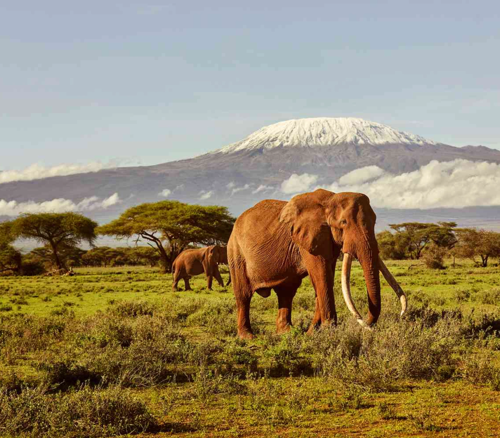 7-Days Safari: Masai Mara, Lake Nakuru, Lake Naivasha, Amboseli To Coast  Attractions