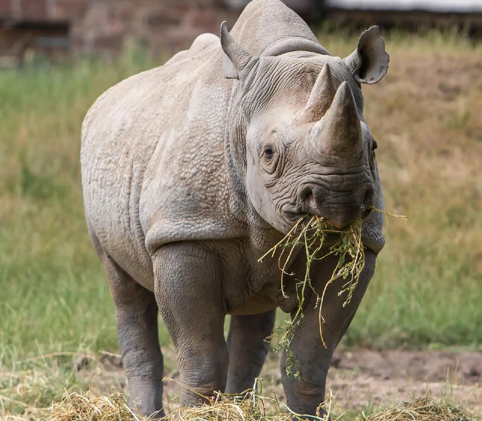 7 Days Safari – Samburu, Aberdares, Lakes Nakuru & Naivasha, Masai Mara  Attractions