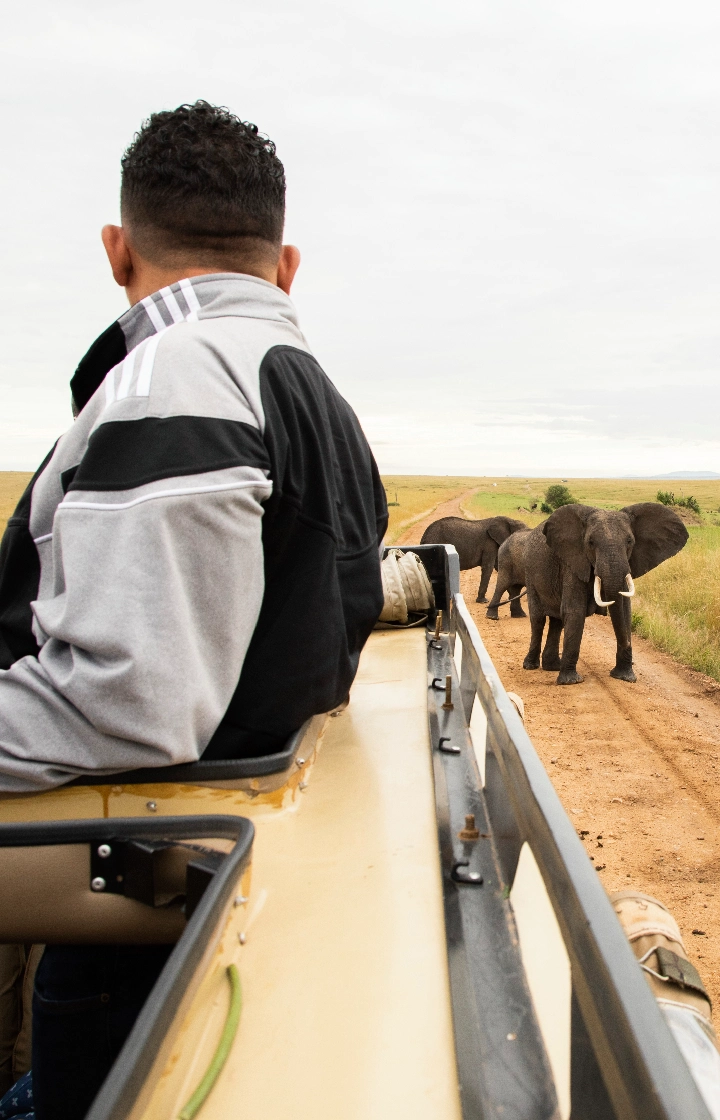 7-Days Safari: Tsavo East to Masai Mara wildlife Viewing