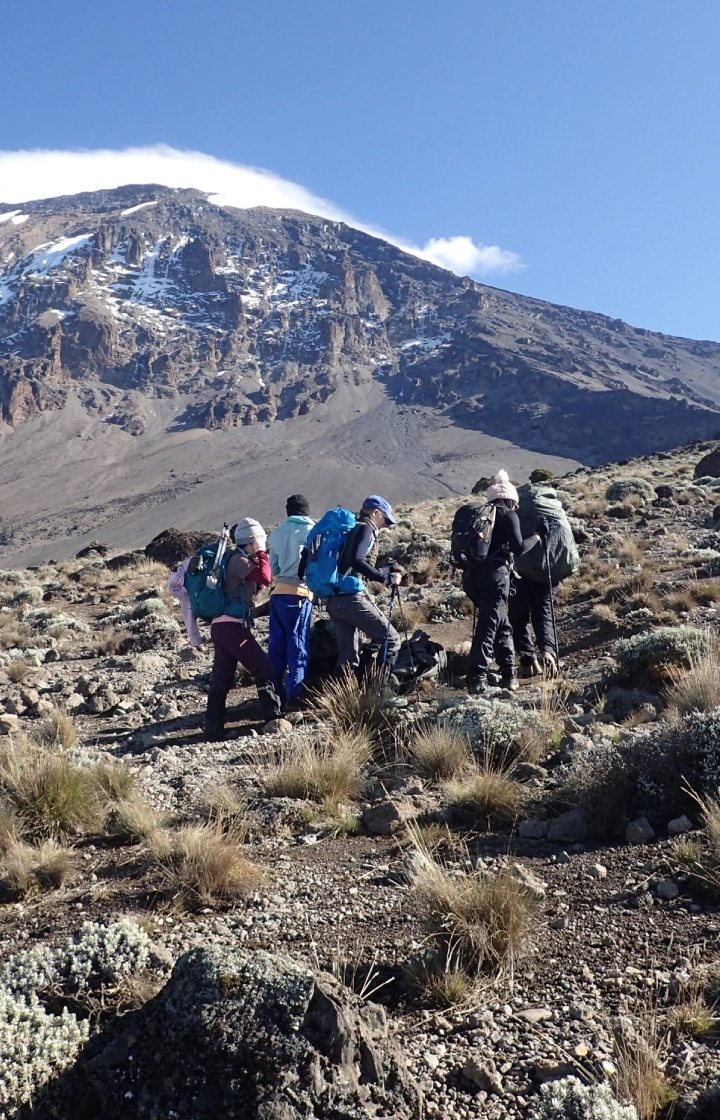 7 Days Shira Route Climbing