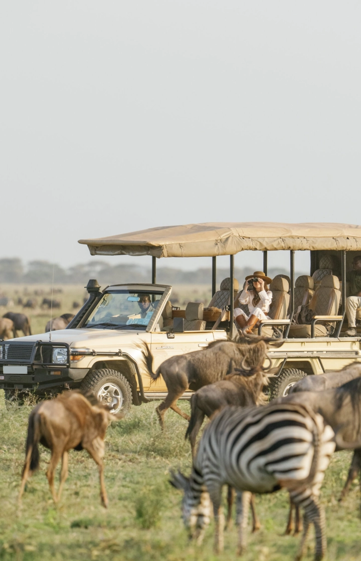 7 Days Tanzania Wildlife Adventure Safari wildlife
