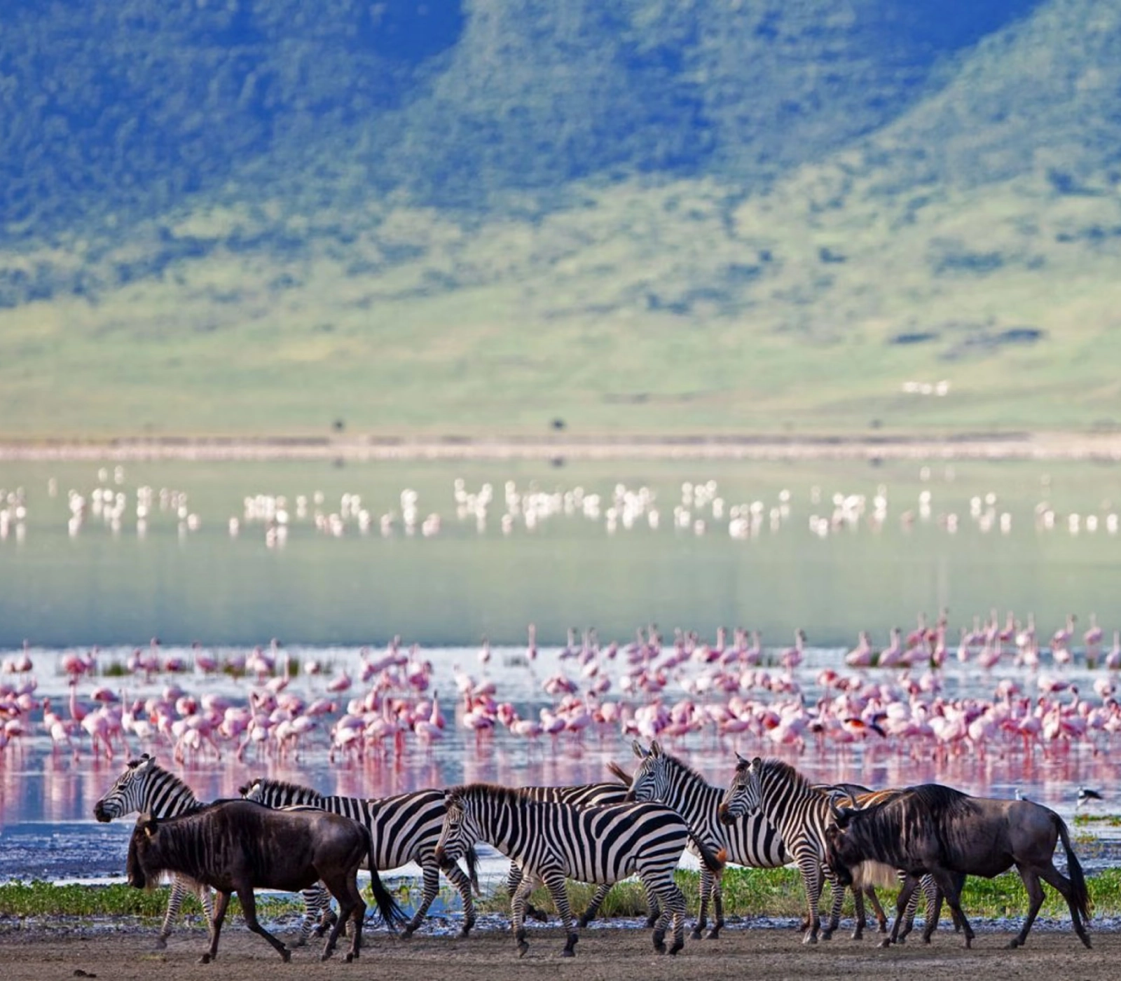 7 Days Tanzania Wildlife Adventure Safari Attractions