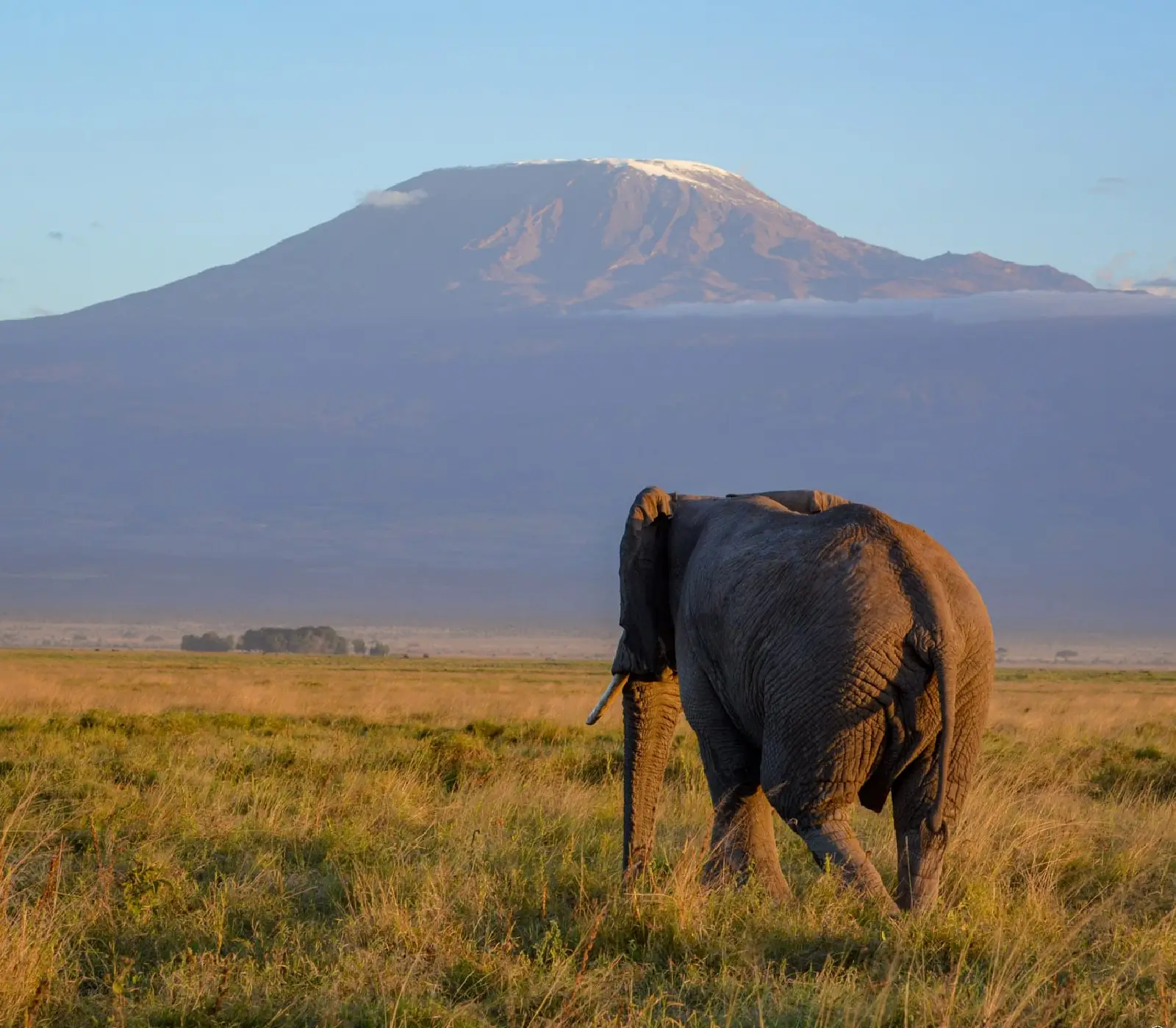7 Days Tsavo East Wildlife Safari  Attractions