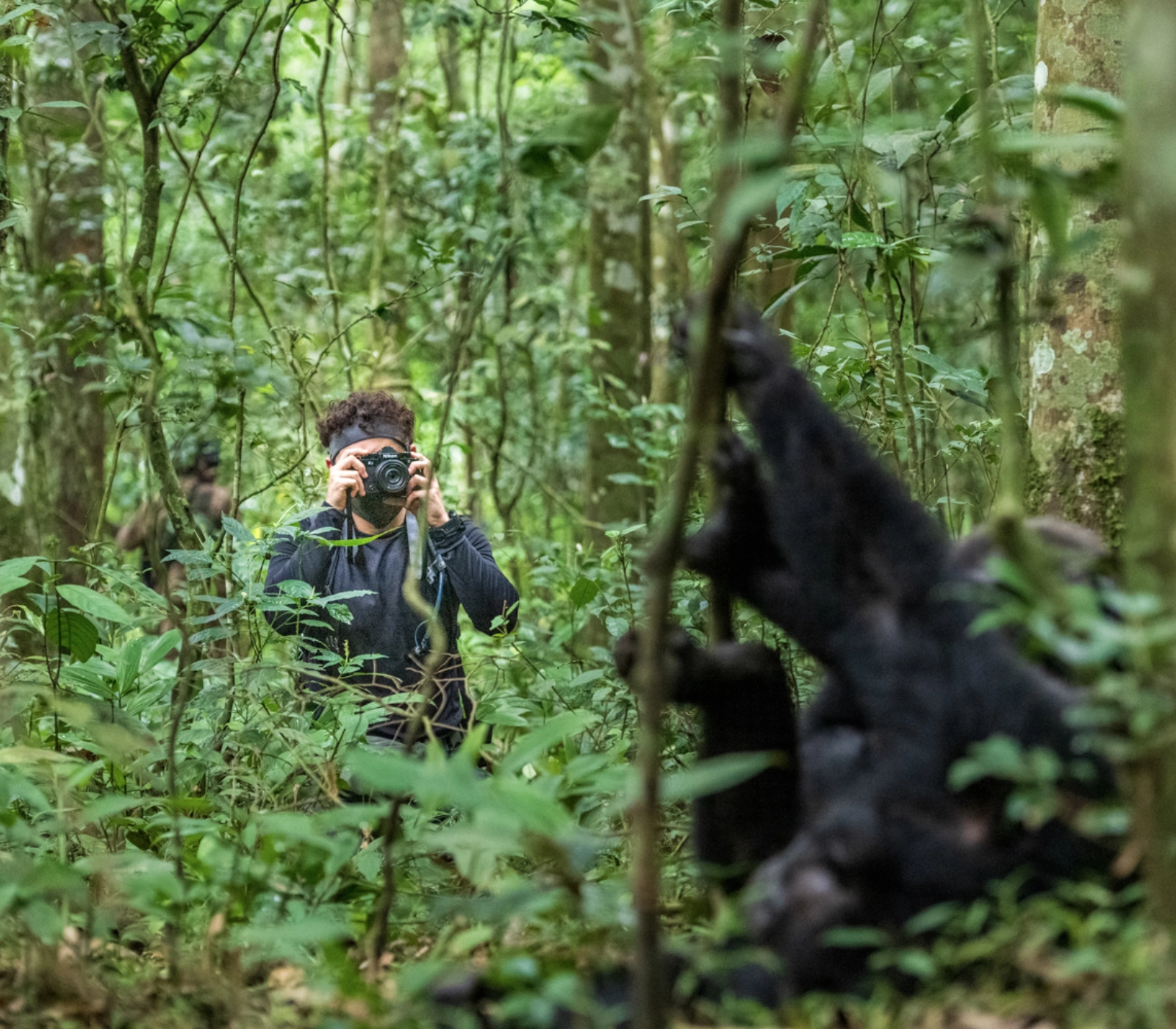 7 Days Uganda Gorilla Trekking Attractions