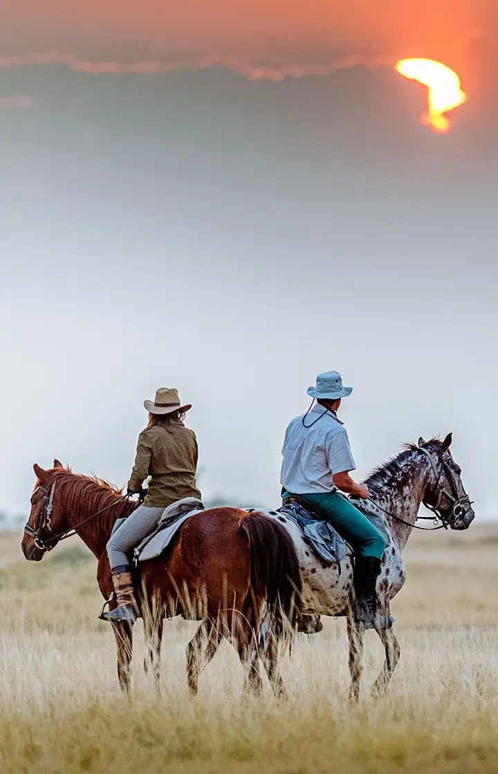 8-Day Kenya Safari Tour wildlife Viewing