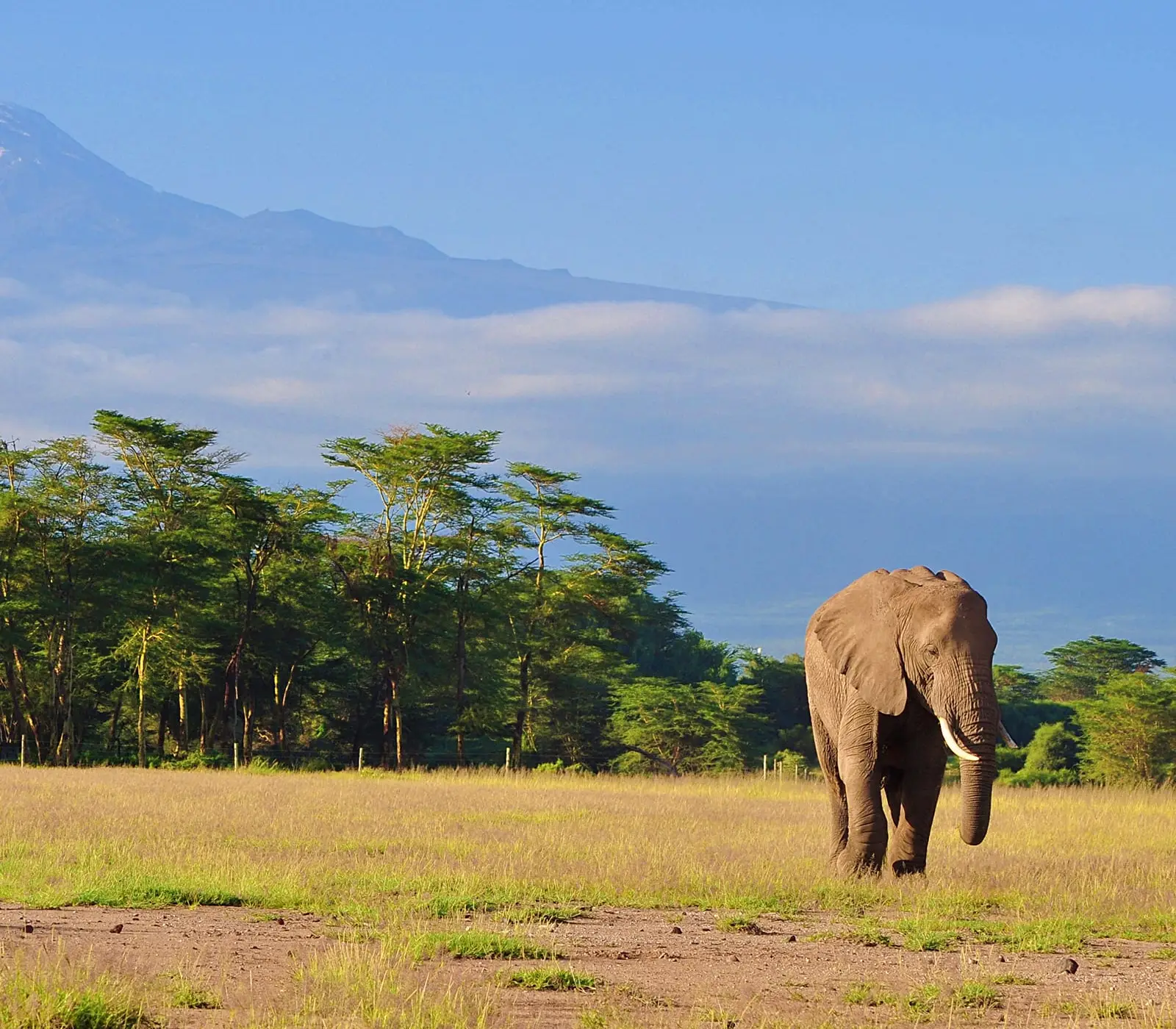 8-Day Kenya Safari Tour Attractions