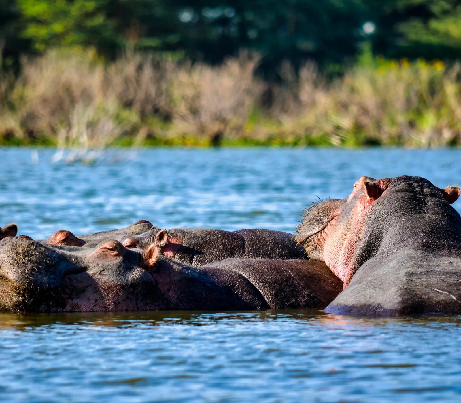 8-Day Kenya Safari Tour Attractions