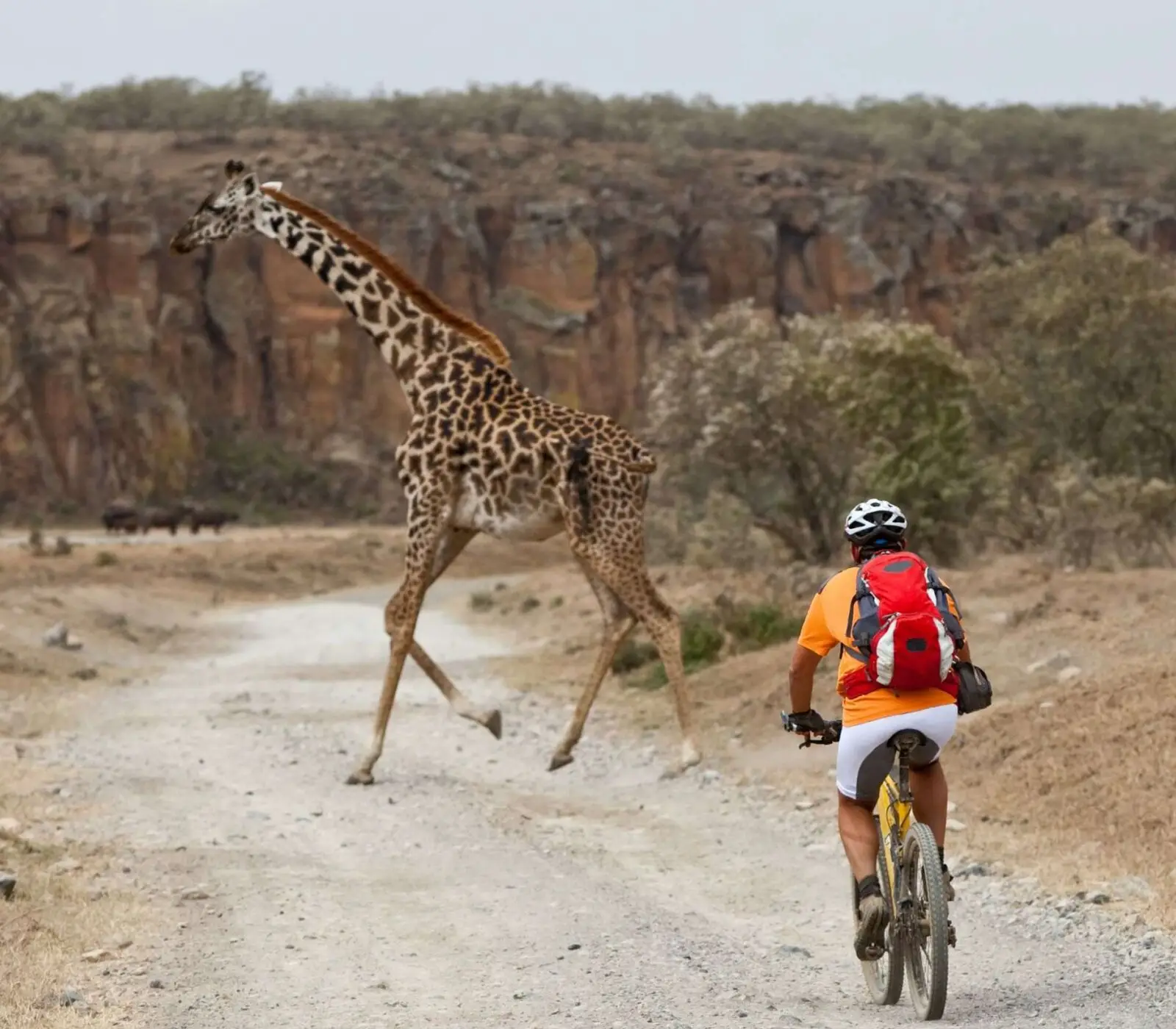 8-Day Kenya Safari Tour Attractions