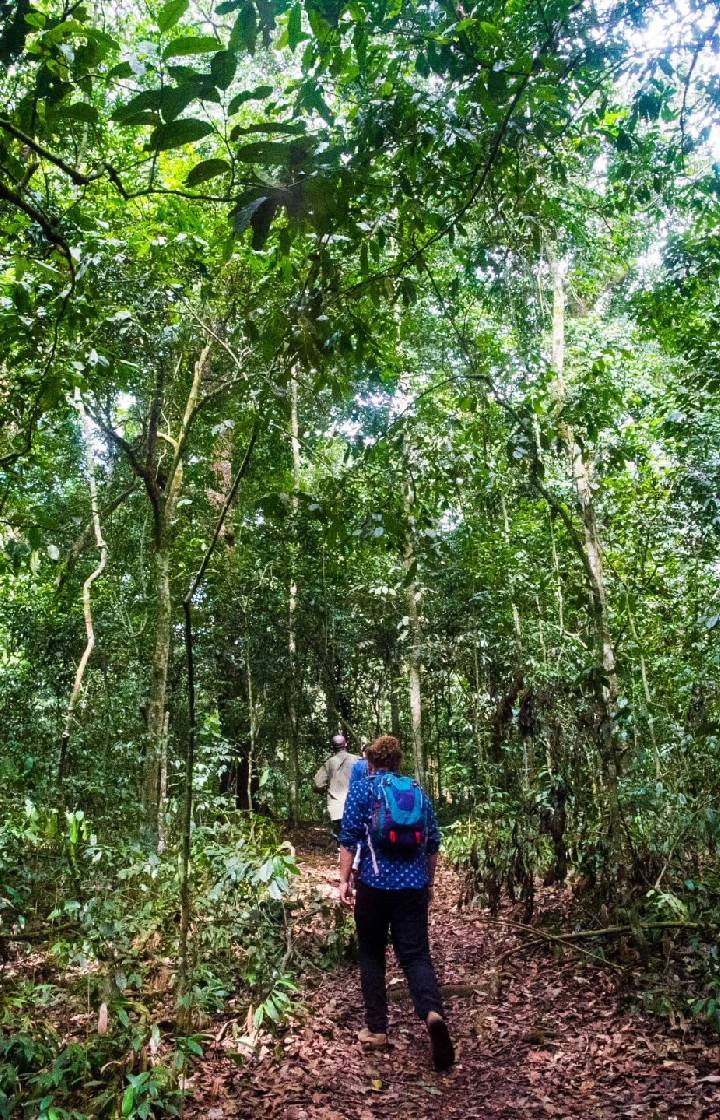 8 Days Big Five Uganda Safari  wildlife