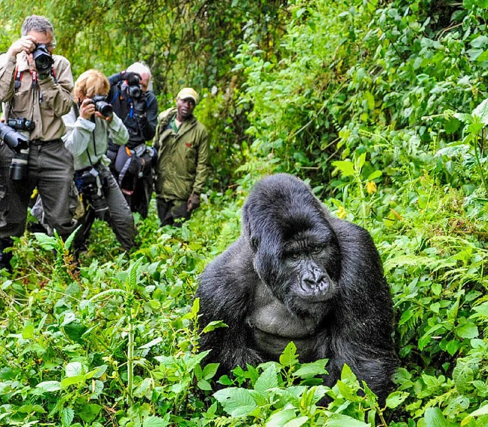 8 Days Big Five Uganda Safari  Attractions