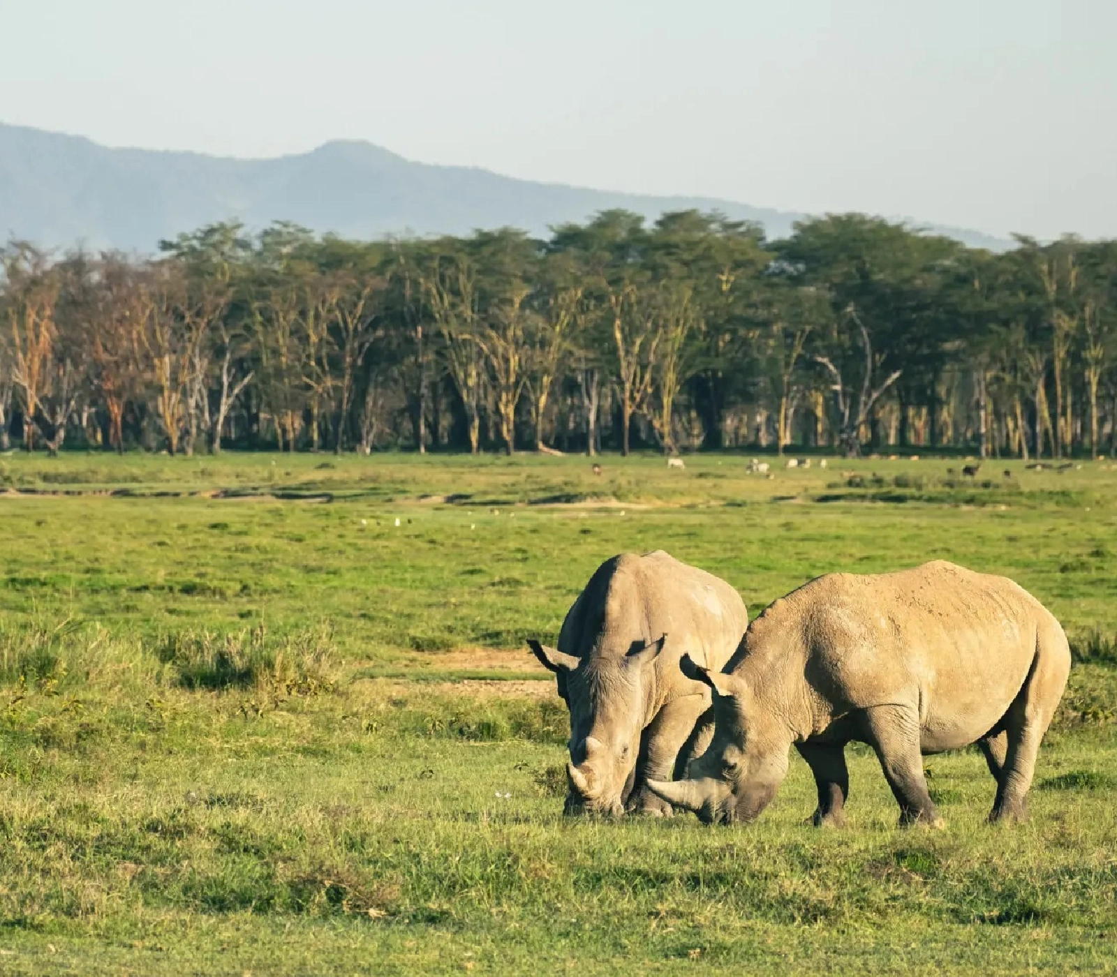 8-Days Explorer Safari Attractions