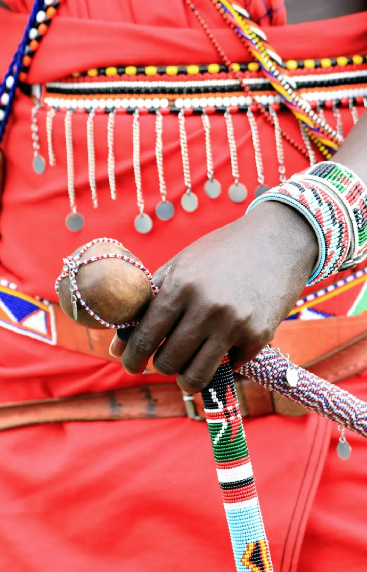 8-Days Kenya & Tanzania Discovery Safari  wildlife Viewing