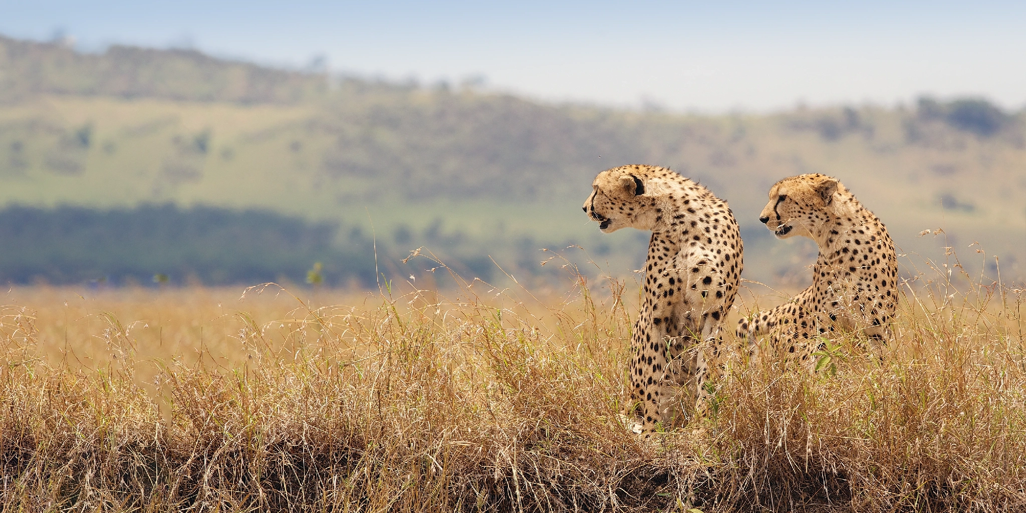 8-Days Kenya & Tanzania Discovery Safari 