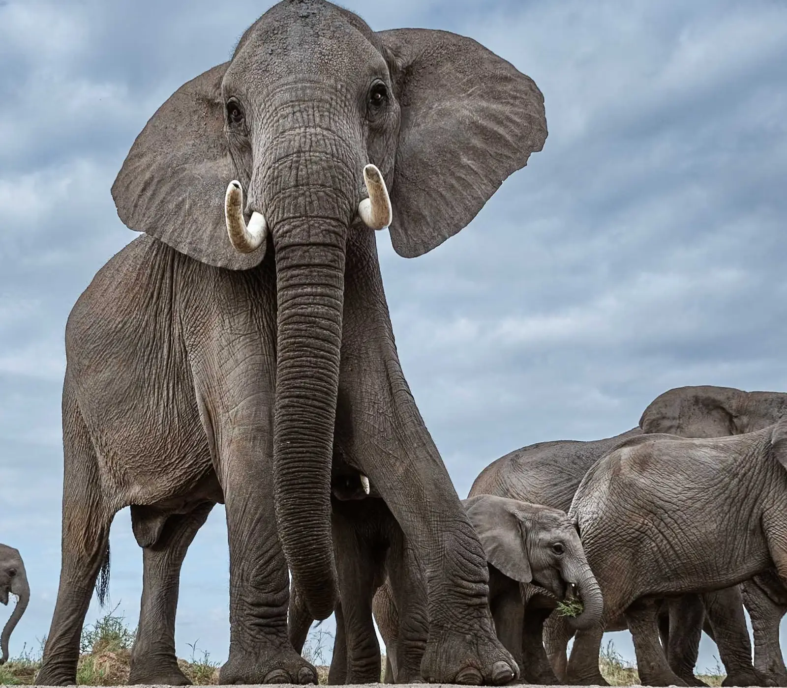 8-Days Kenya Beach To Bush Safari Attractions