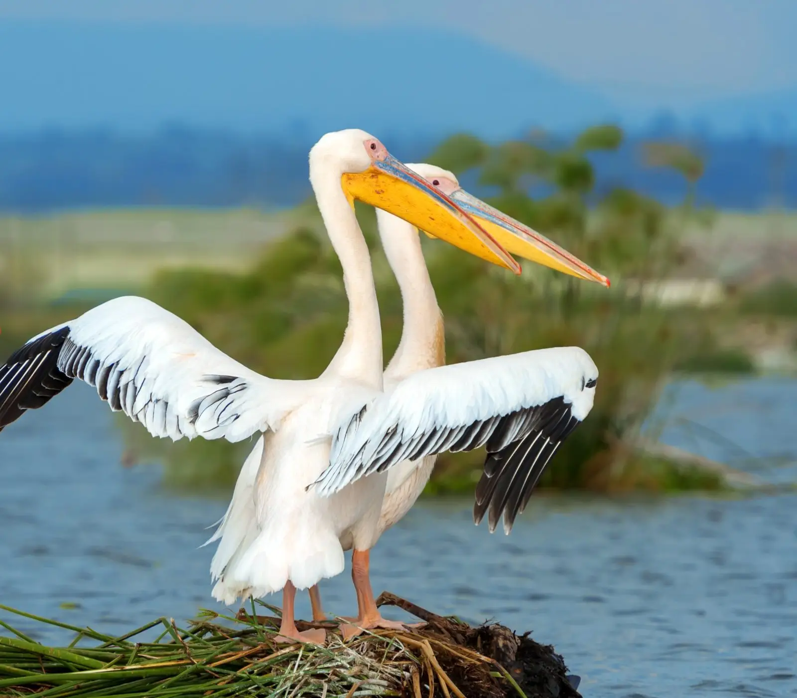 8-Days Kenya Beach To Bush Safari Attractions