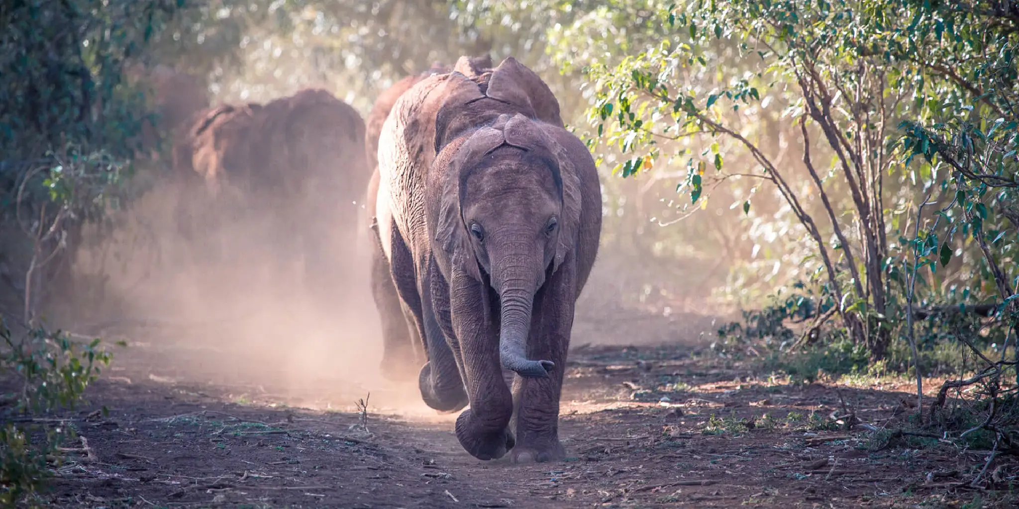 8-Days Kenya Beach To Bush Safari