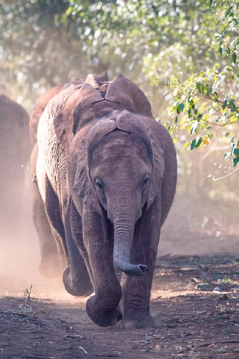8-Days Kenya Beach To Bush Safari