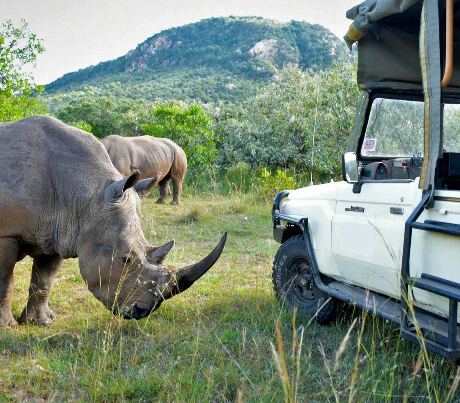 8 Days Kenya Big Five Special Safari Attractions