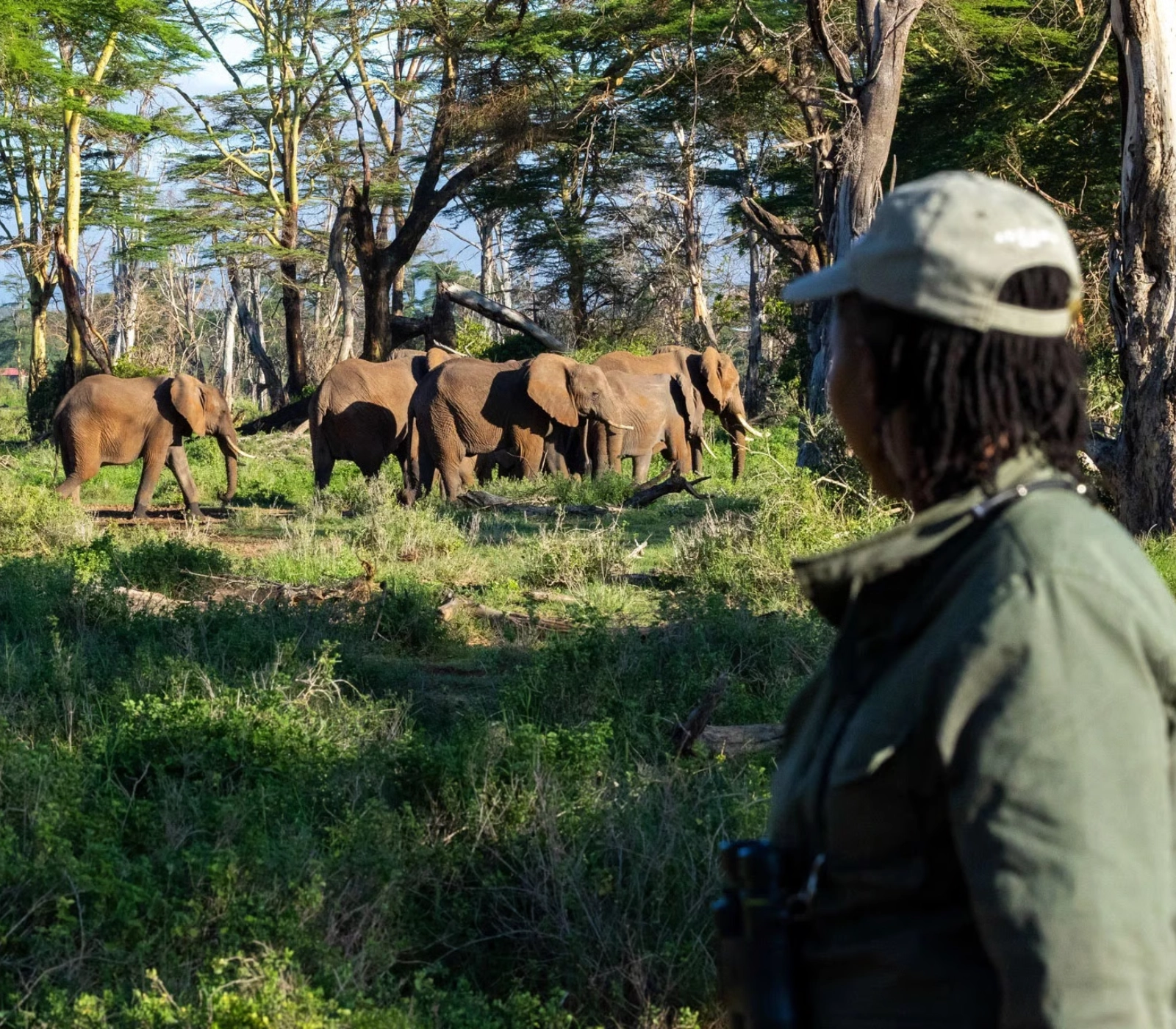 8 Days Kenya Walking Safari Attractions