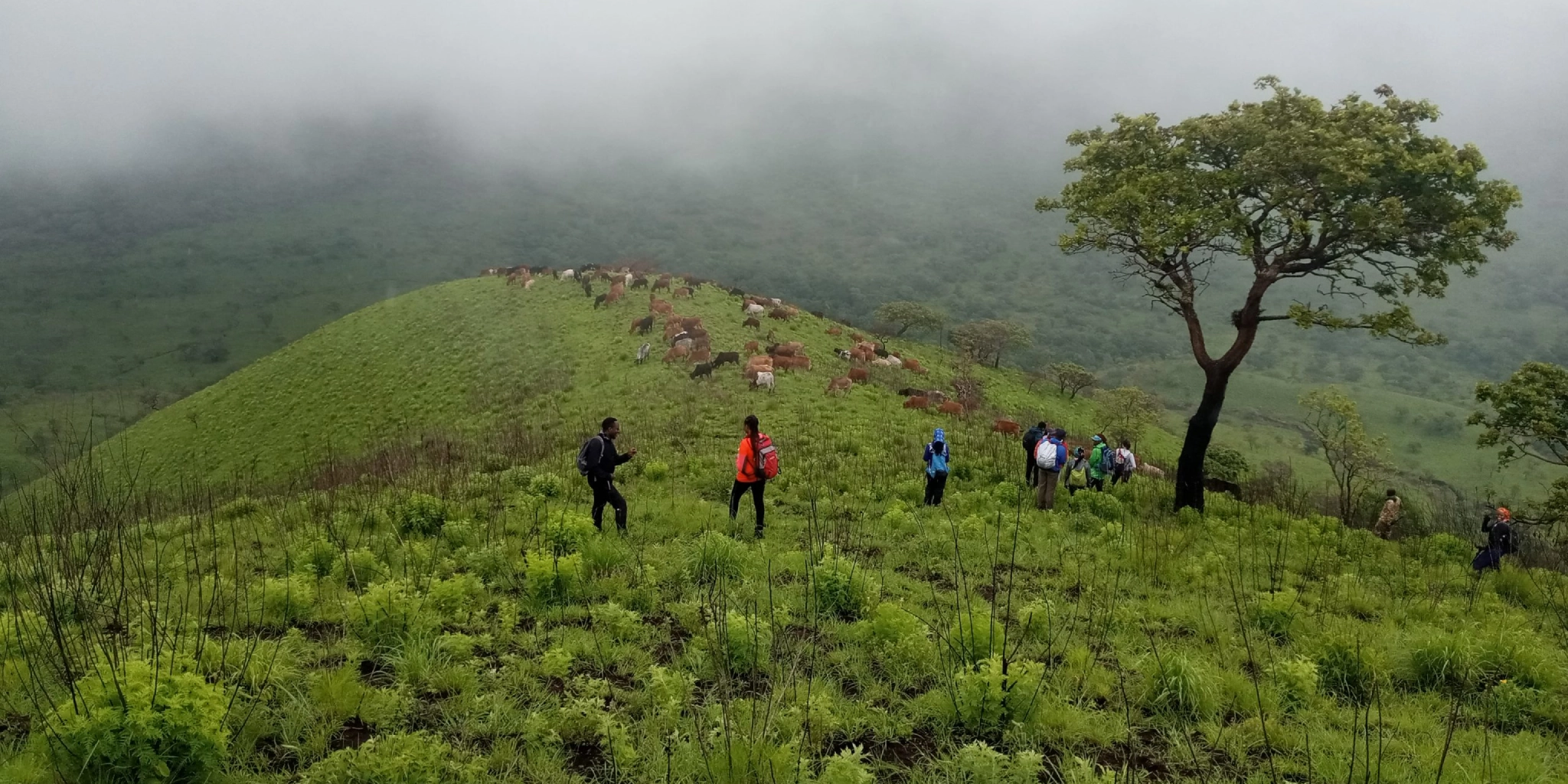 8 Days Kenya Walking Safari