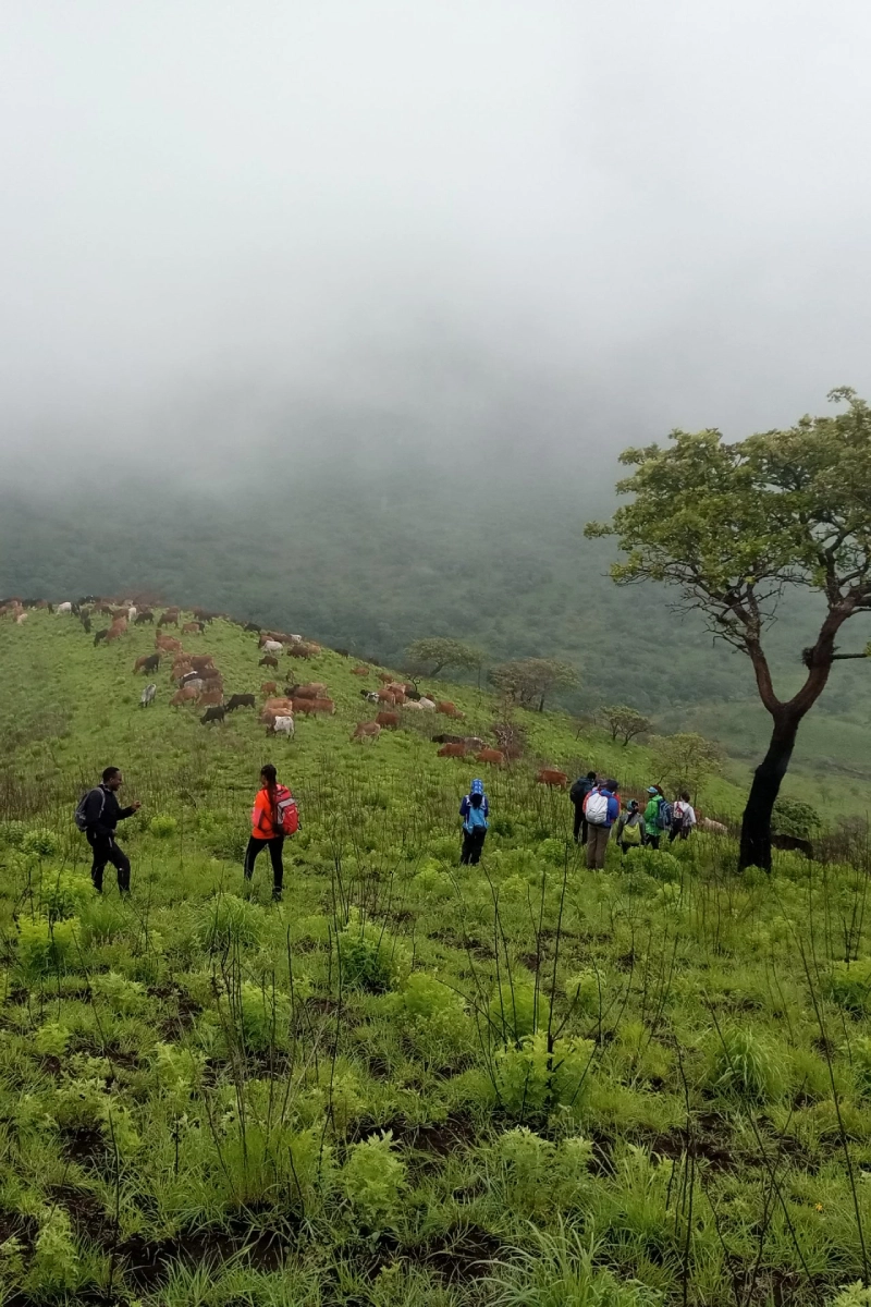 8 Days Kenya Walking Safari