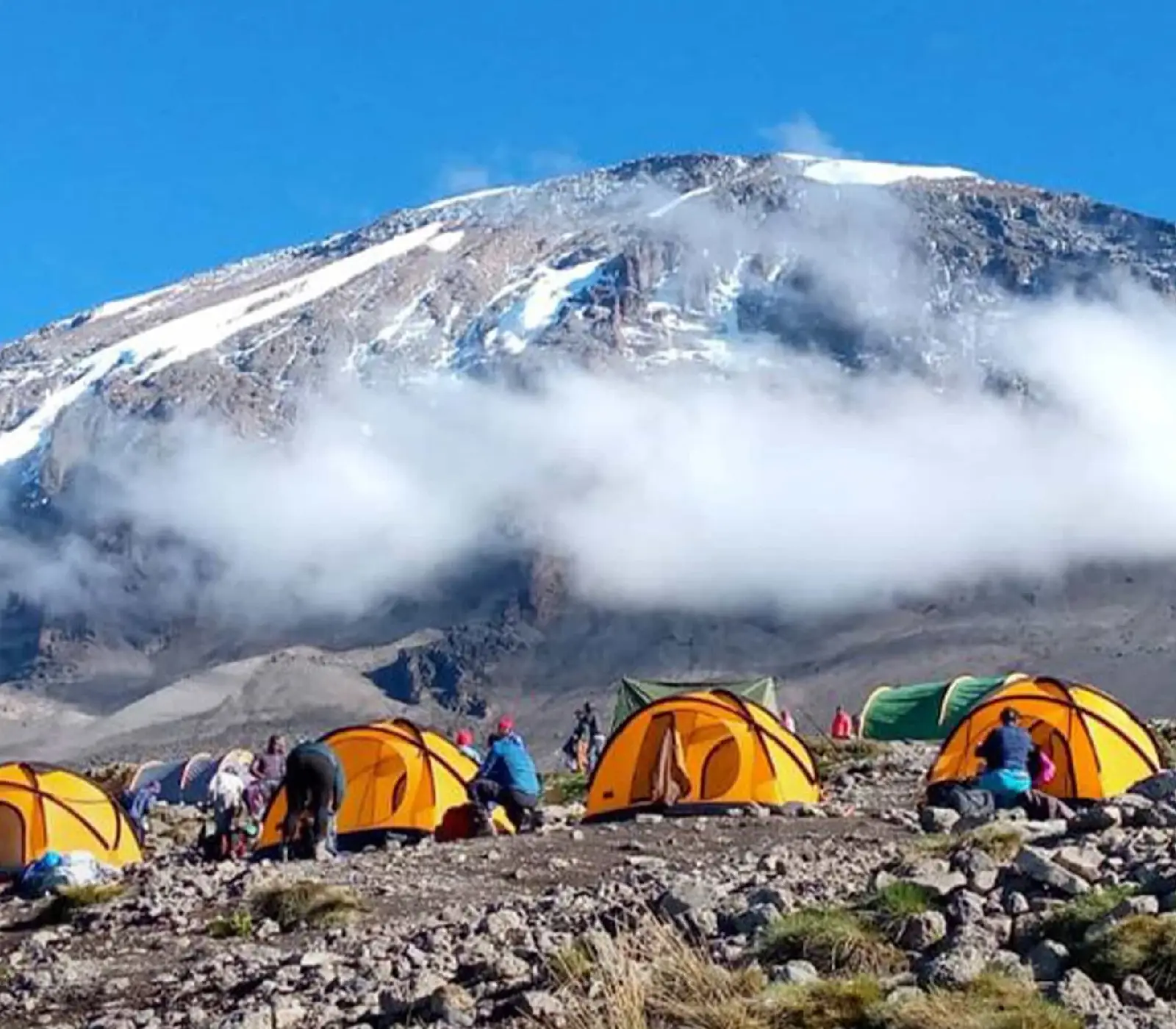 8 Days Lemosho Route Attractions