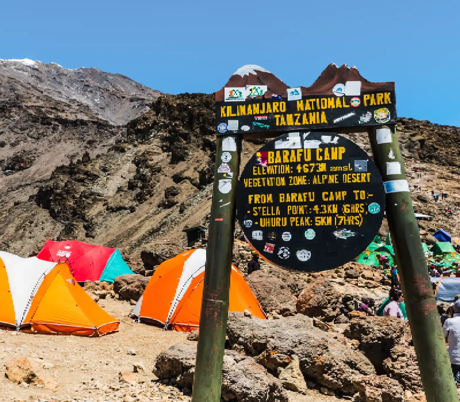 8 Days Lemosho Route Attractions