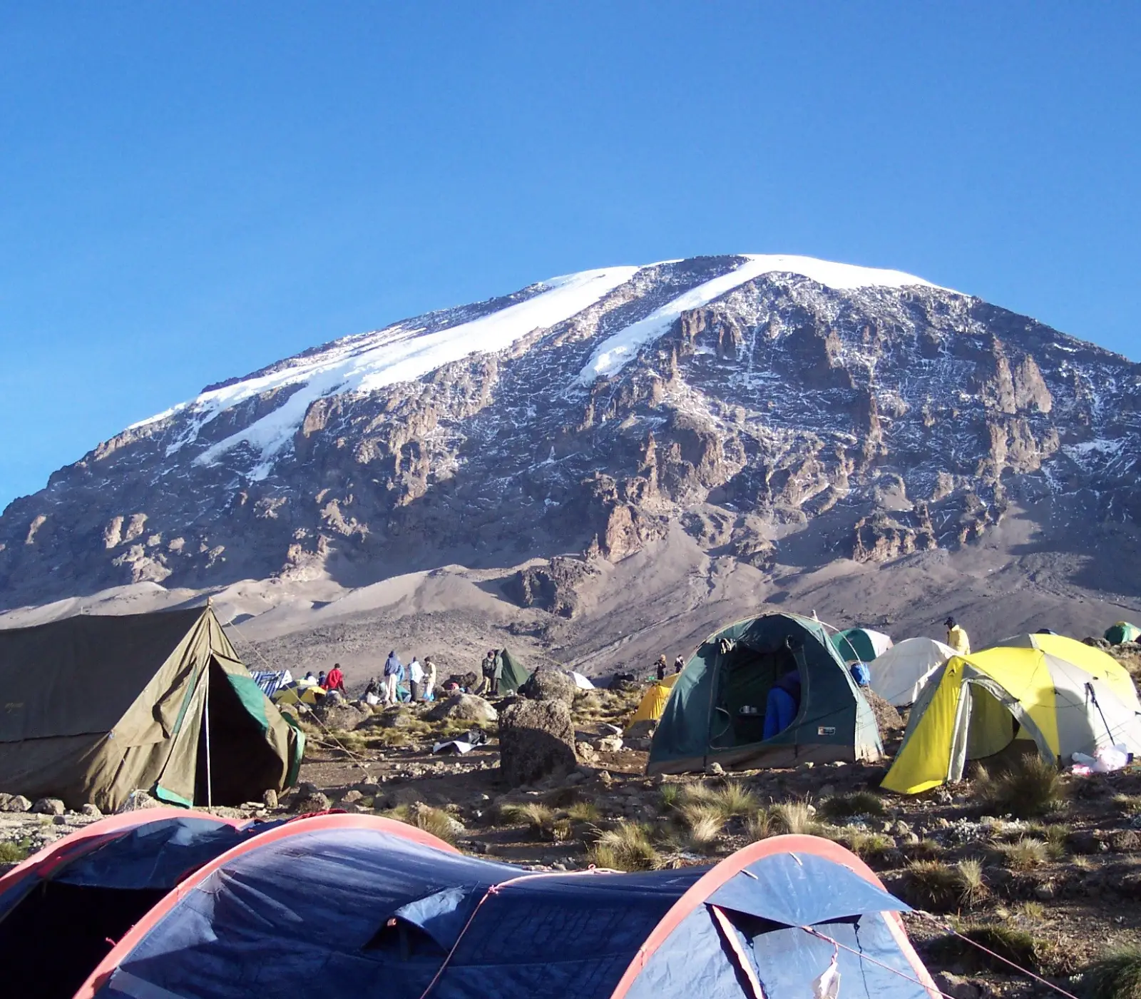 8 Days Lemosho Route Attractions