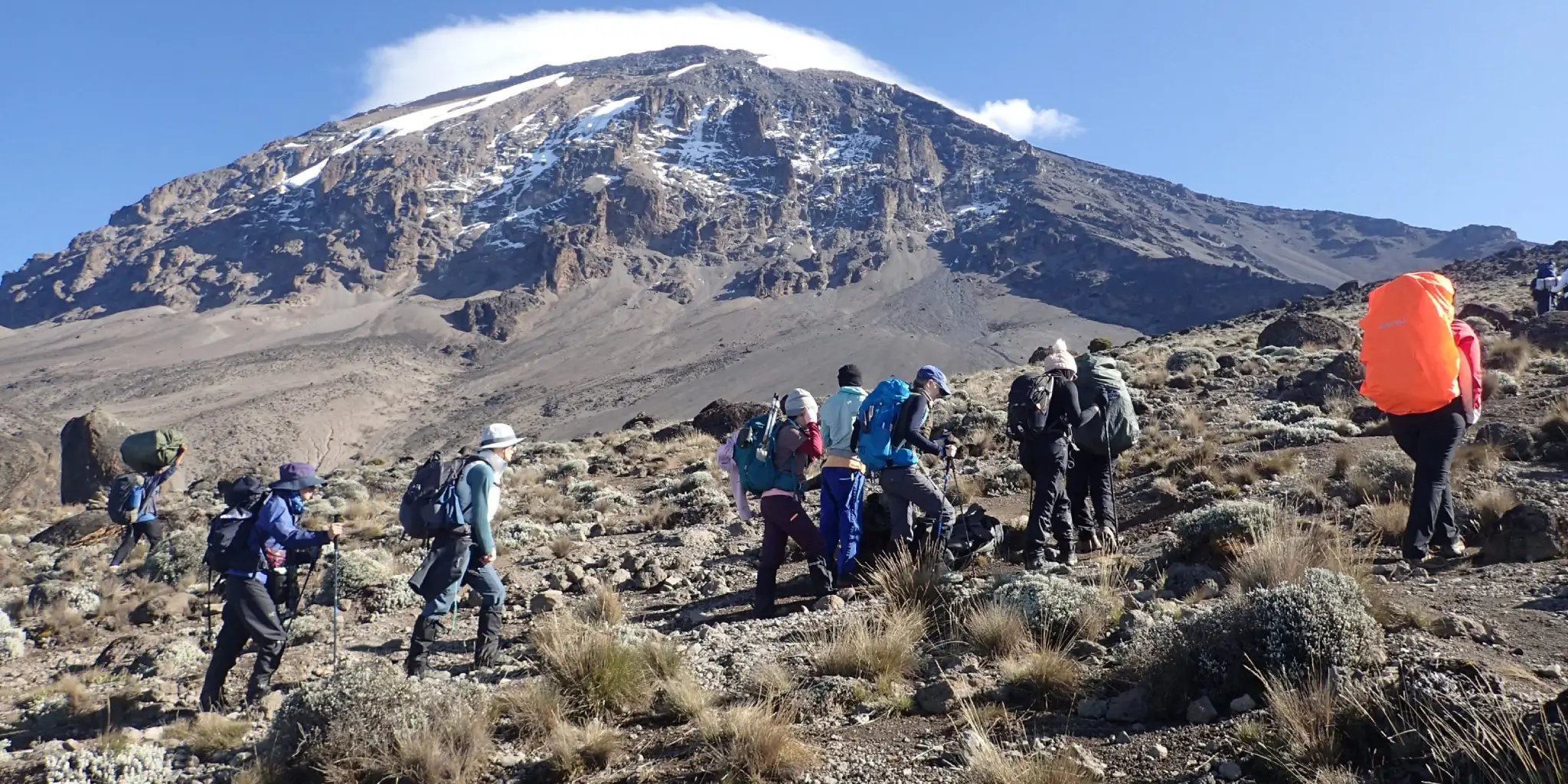 8 Days Lemosho Route