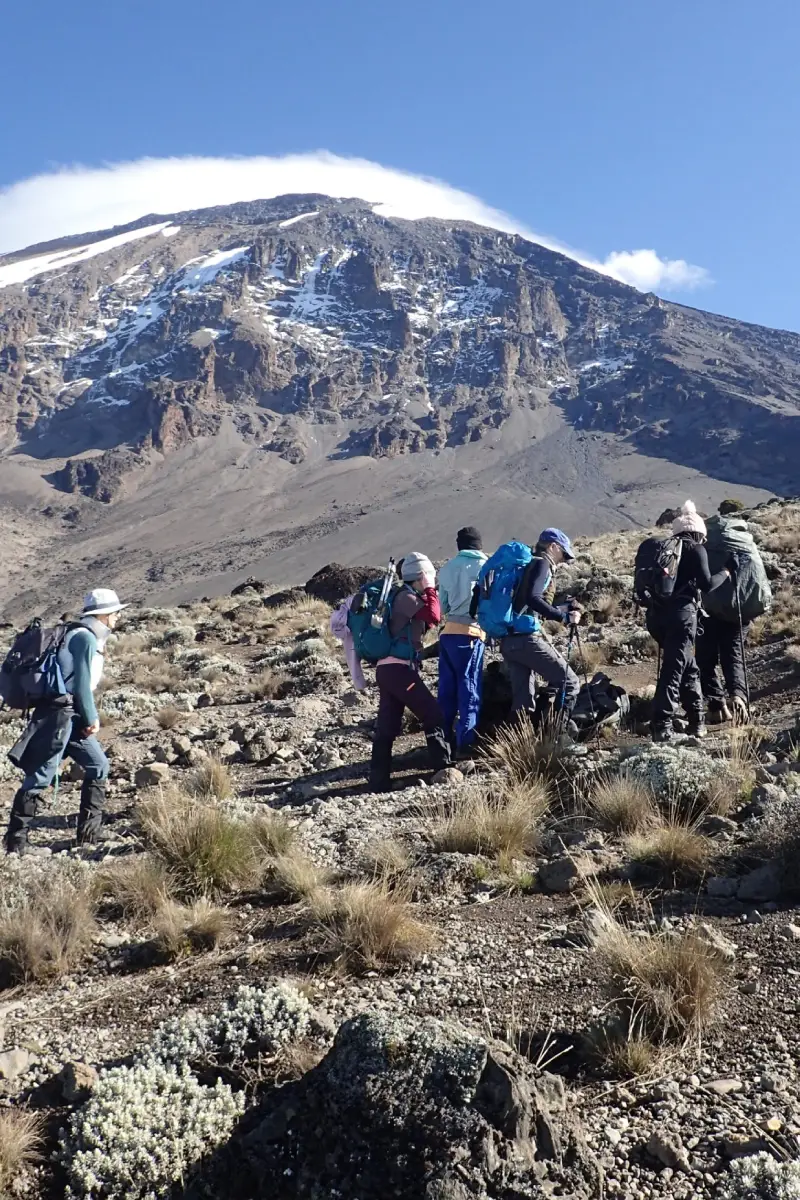 8 Days Lemosho Route